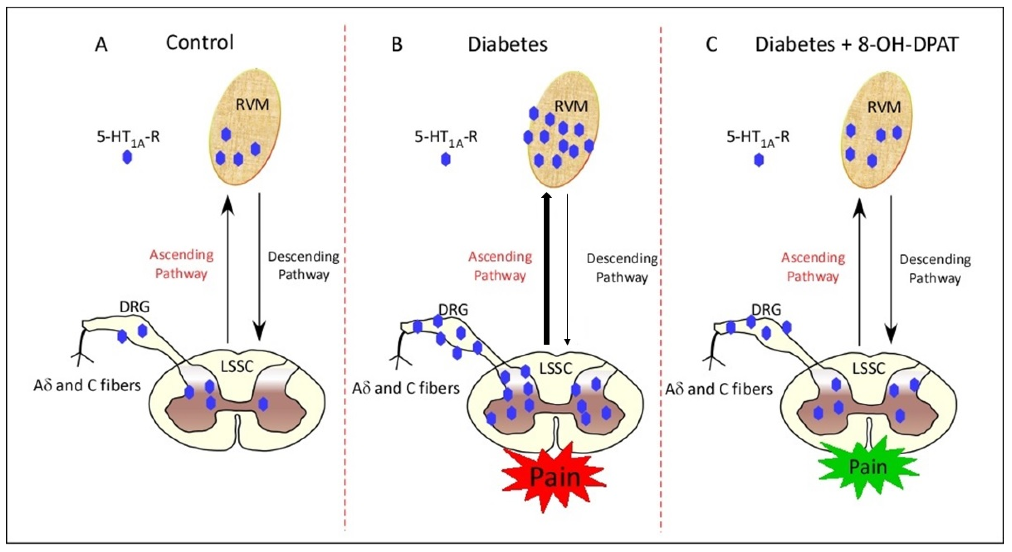 Ijms 24 14334 g009 Ijms 24 14334 g009