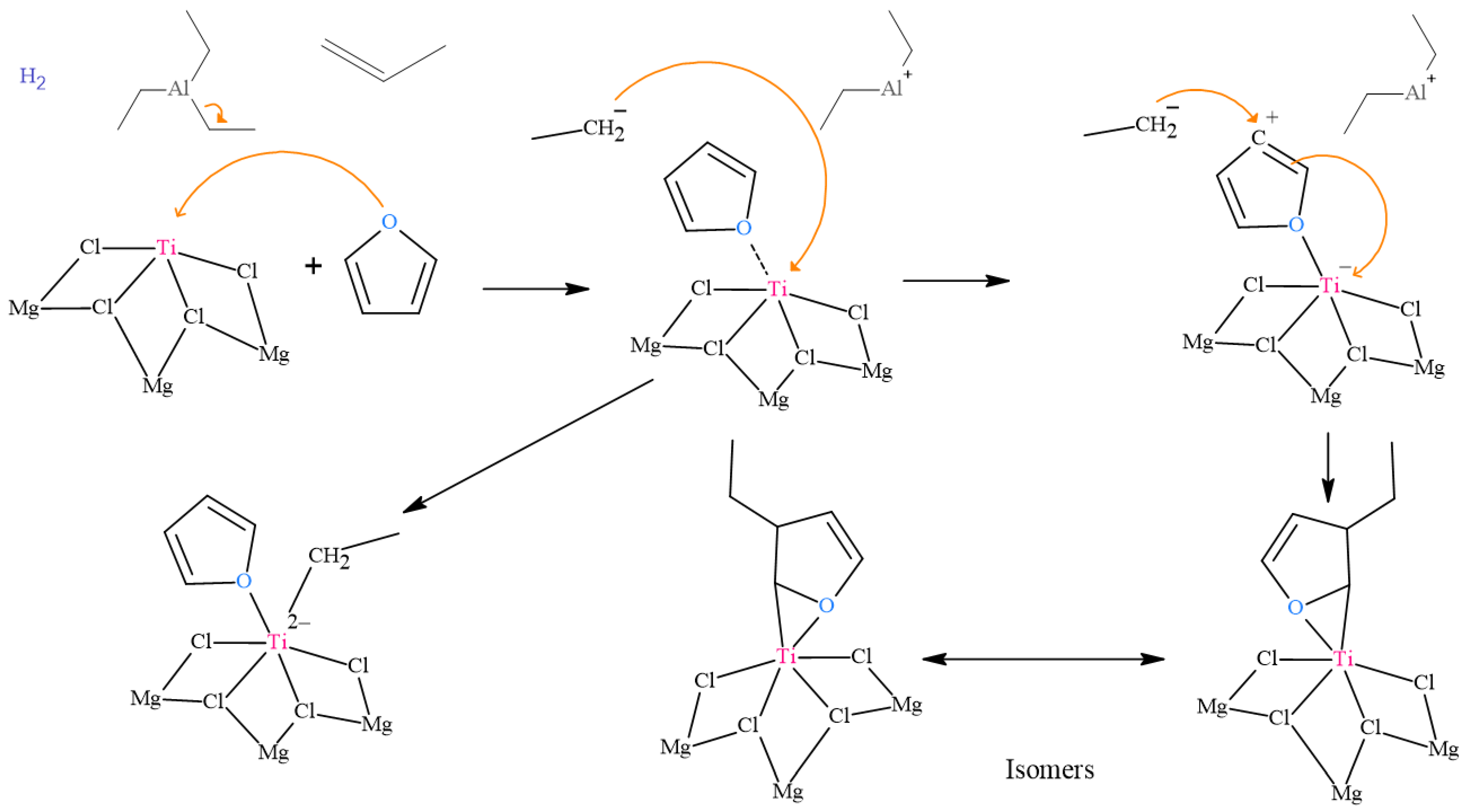 Ijms 24 14368 g005