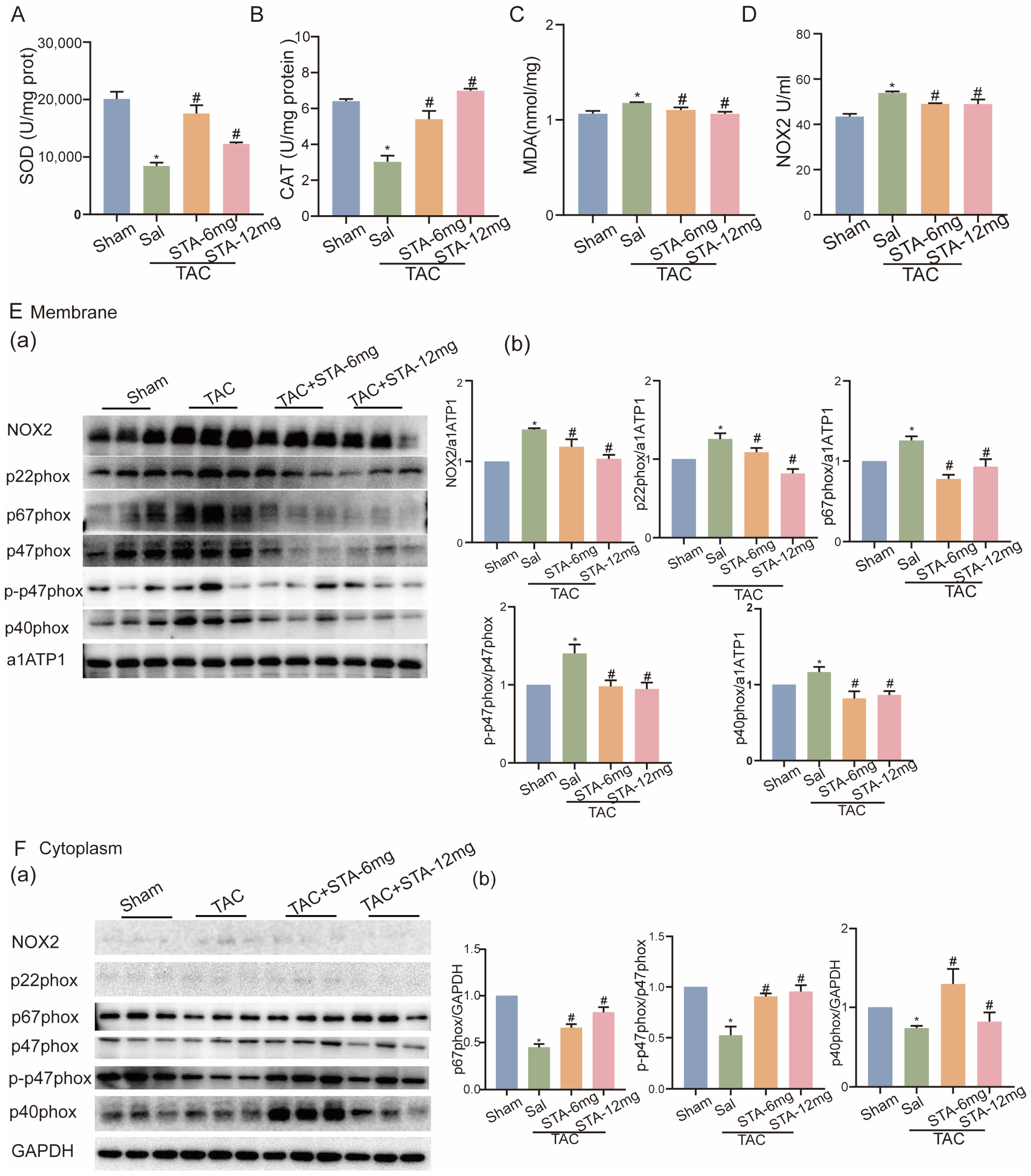 Ijms 24 14369 g002 Ijms 24 14369 g002