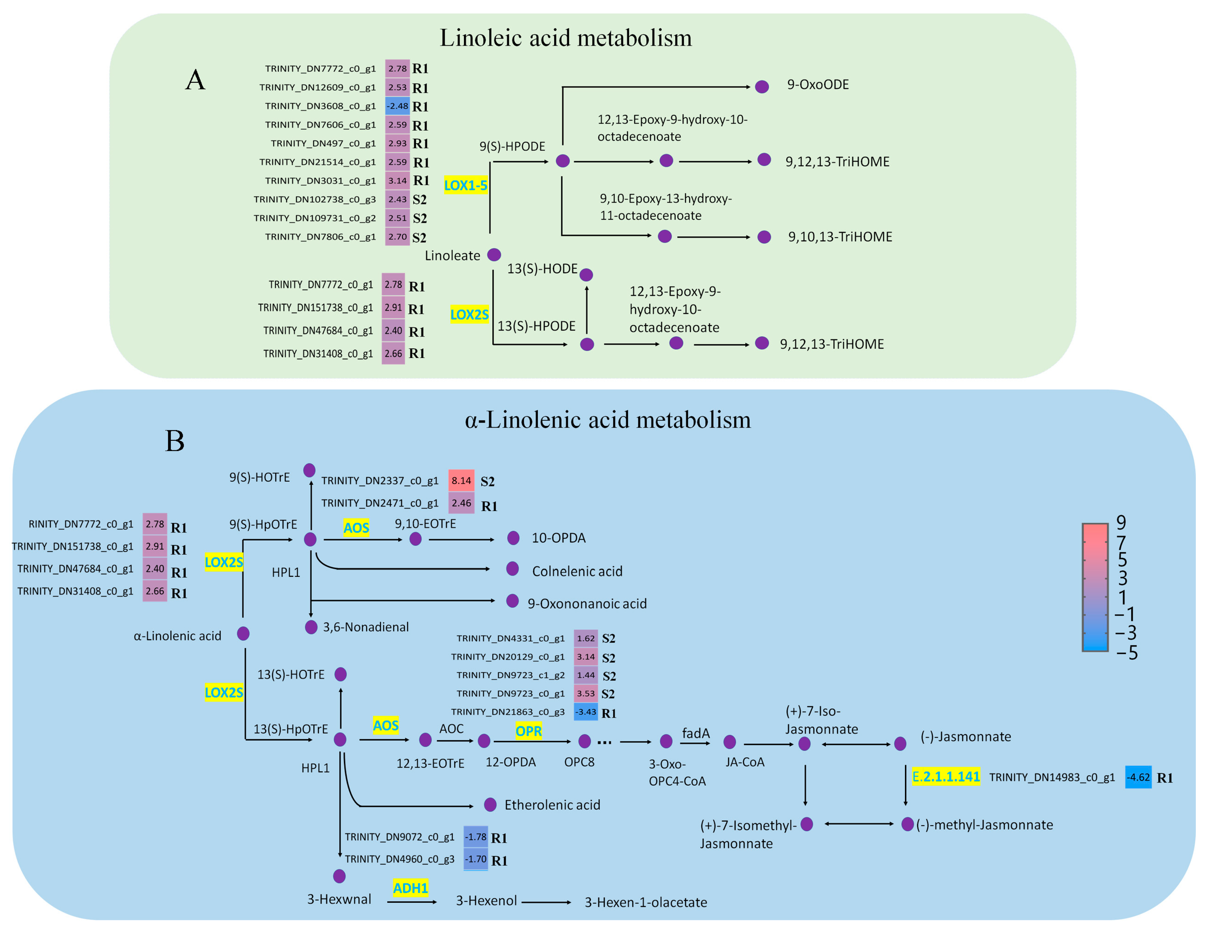 Ijms 24 14376 g004 Ijms 24 14376 g004