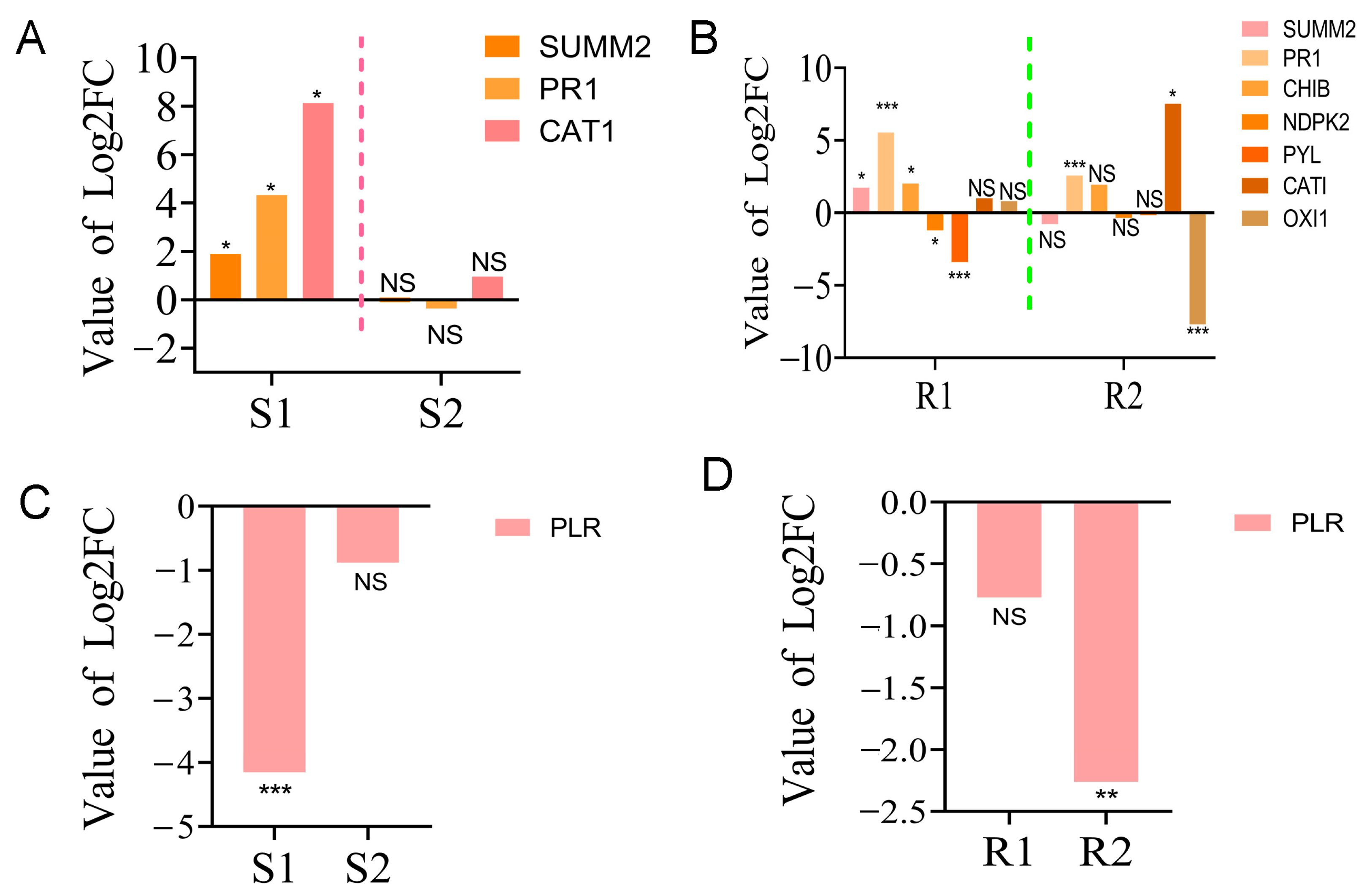 Ijms 24 14376 g005 Ijms 24 14376 g005