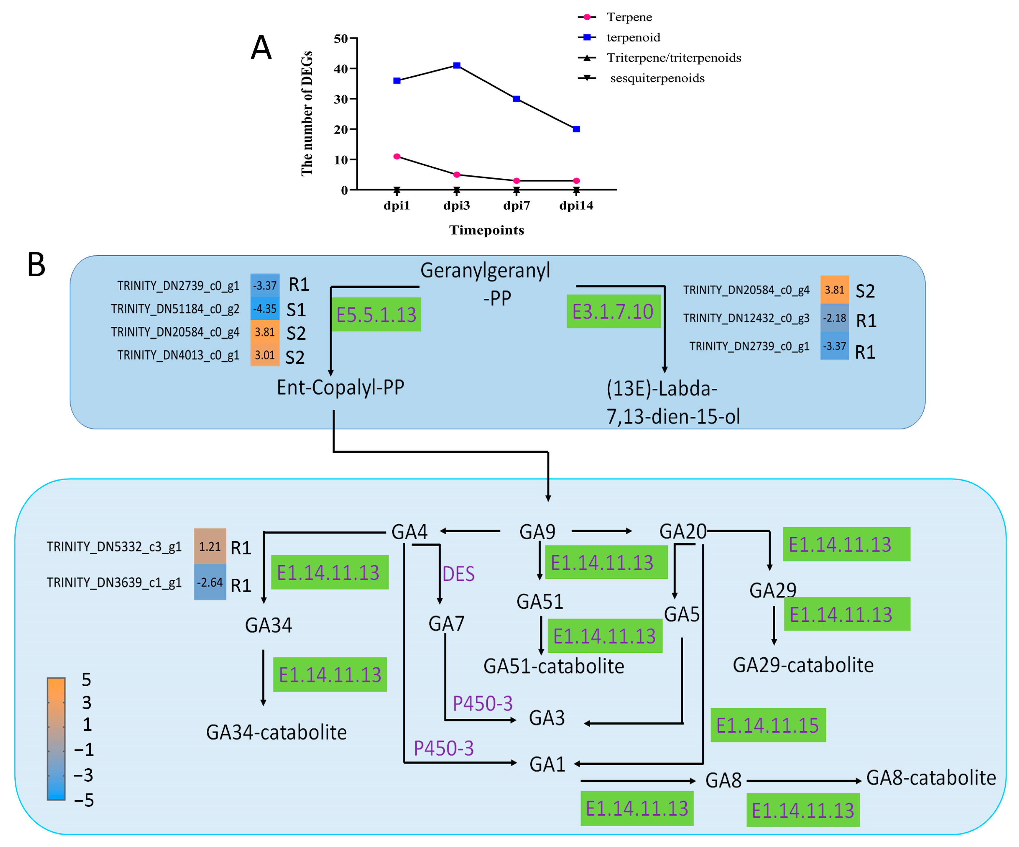 Ijms 24 14376 g006 Ijms 24 14376 g006