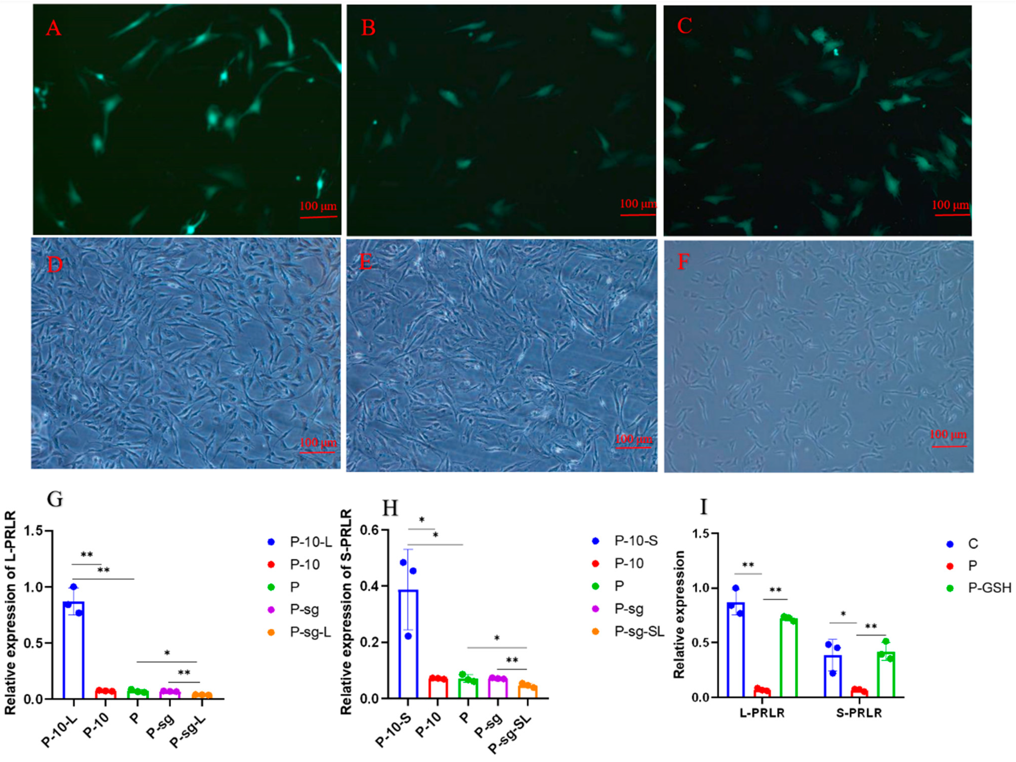 Ijms 24 14407 g002 Ijms 24 14407 g002