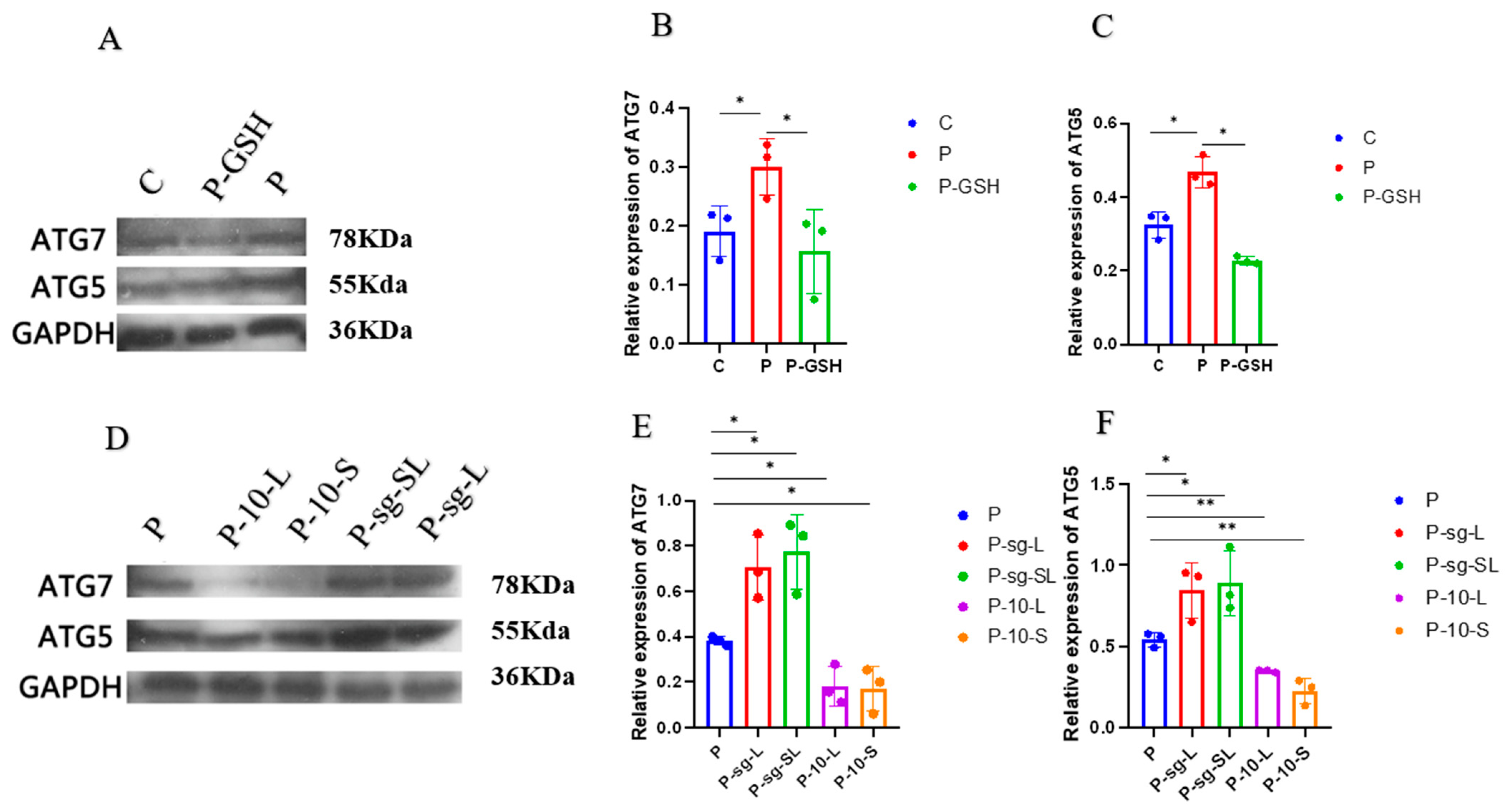 Ijms 24 14407 g009 Ijms 24 14407 g009
