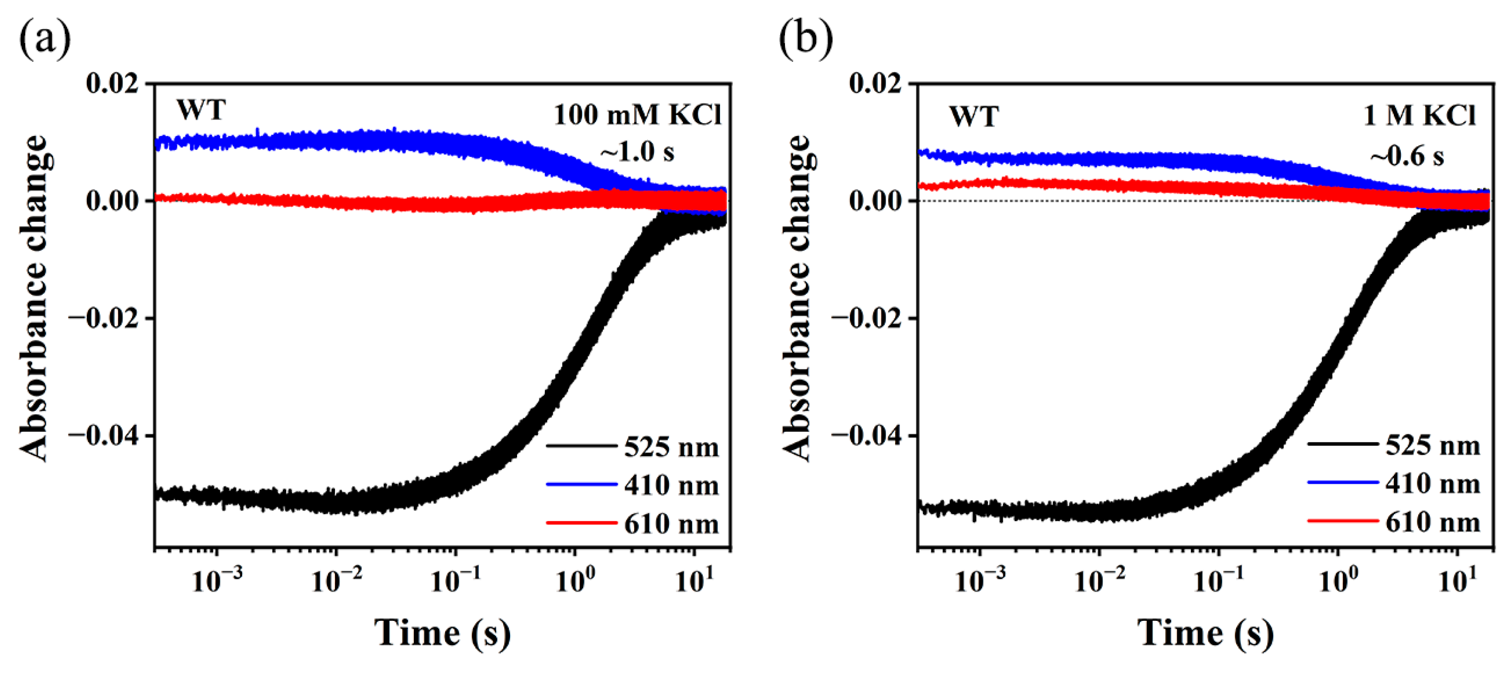 Dynamics and mechanism of a light-driven chloride pump