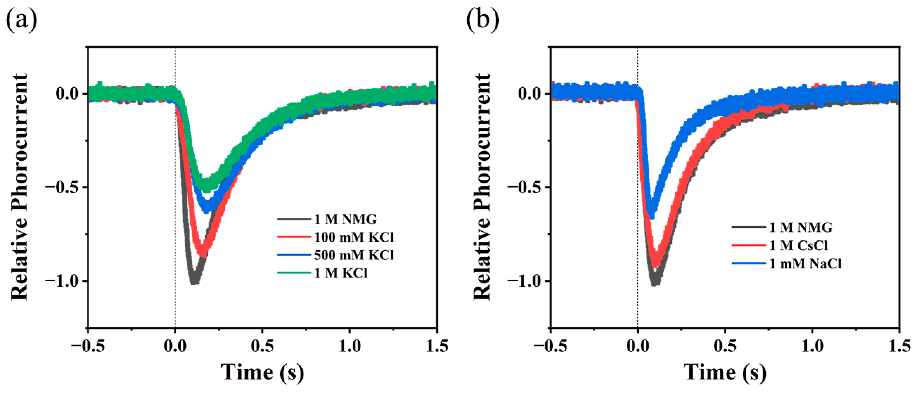 Ijms 24 14414 g004 Ijms 24 14414 g004
