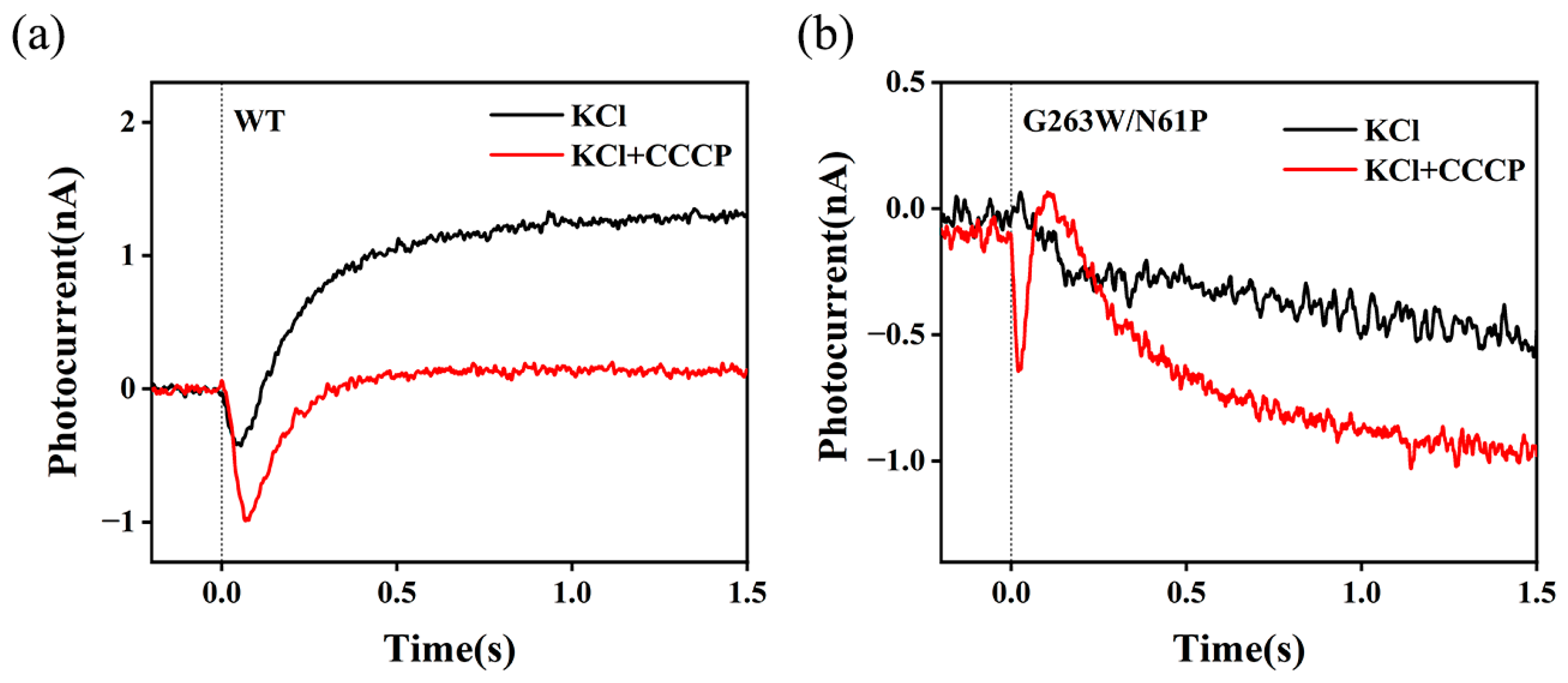 Ijms 24 14414 g005 Ijms 24 14414 g005
