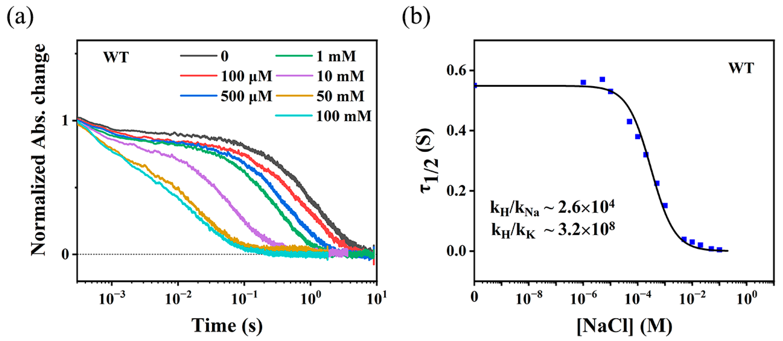 Ijms 24 14414 g006 Ijms 24 14414 g006