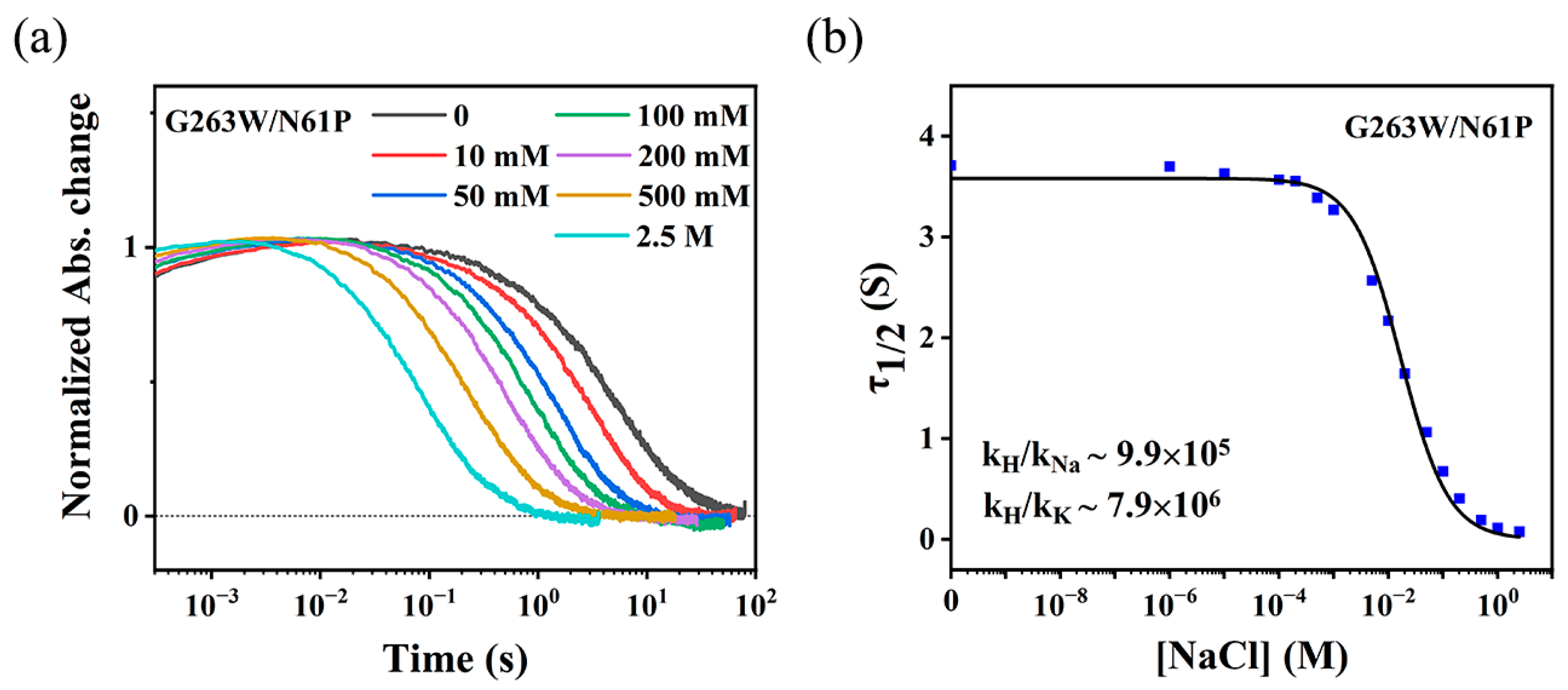 Ijms 24 14414 g007 Ijms 24 14414 g007