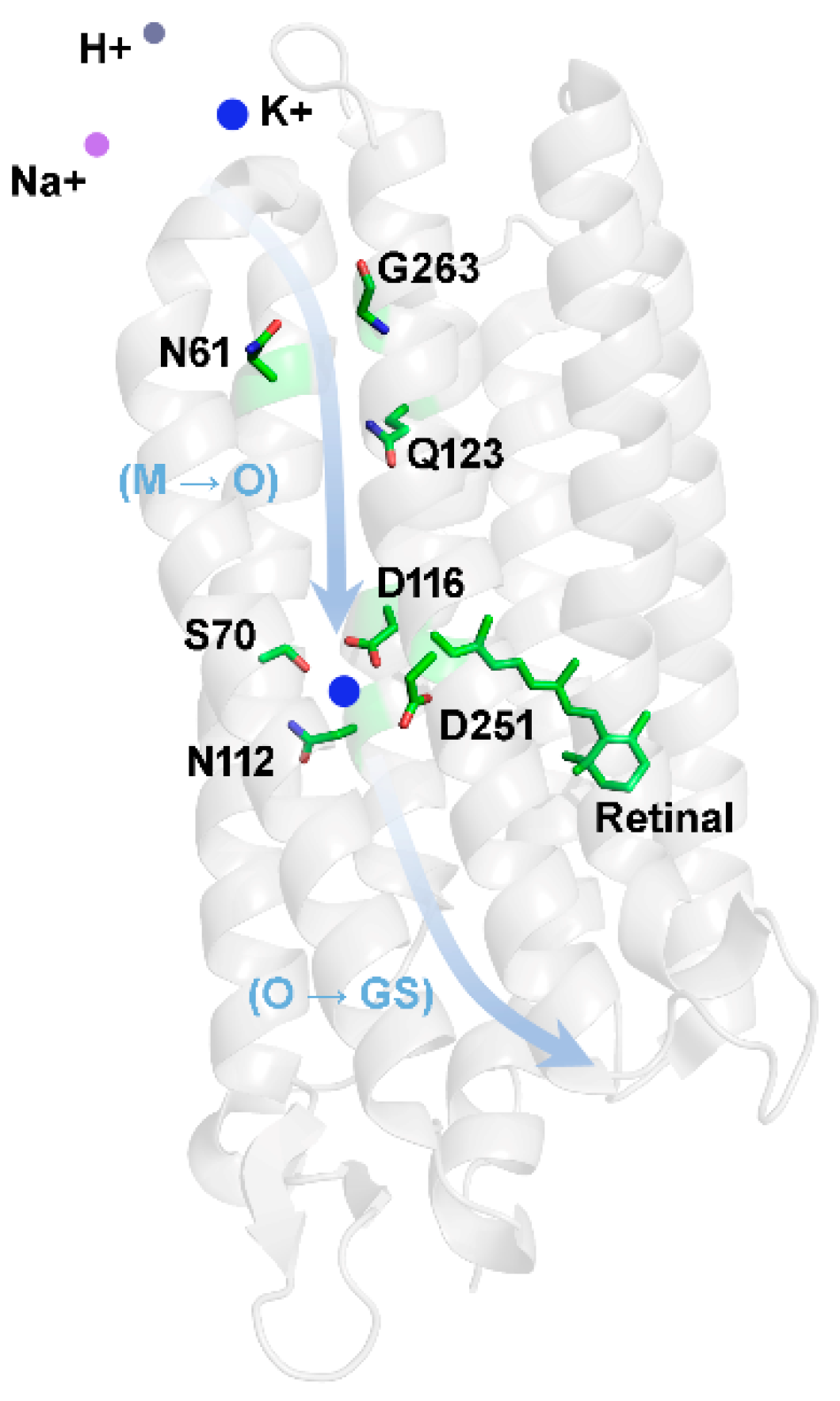 Ijms 24 14414 g008 Ijms 24 14414 g008