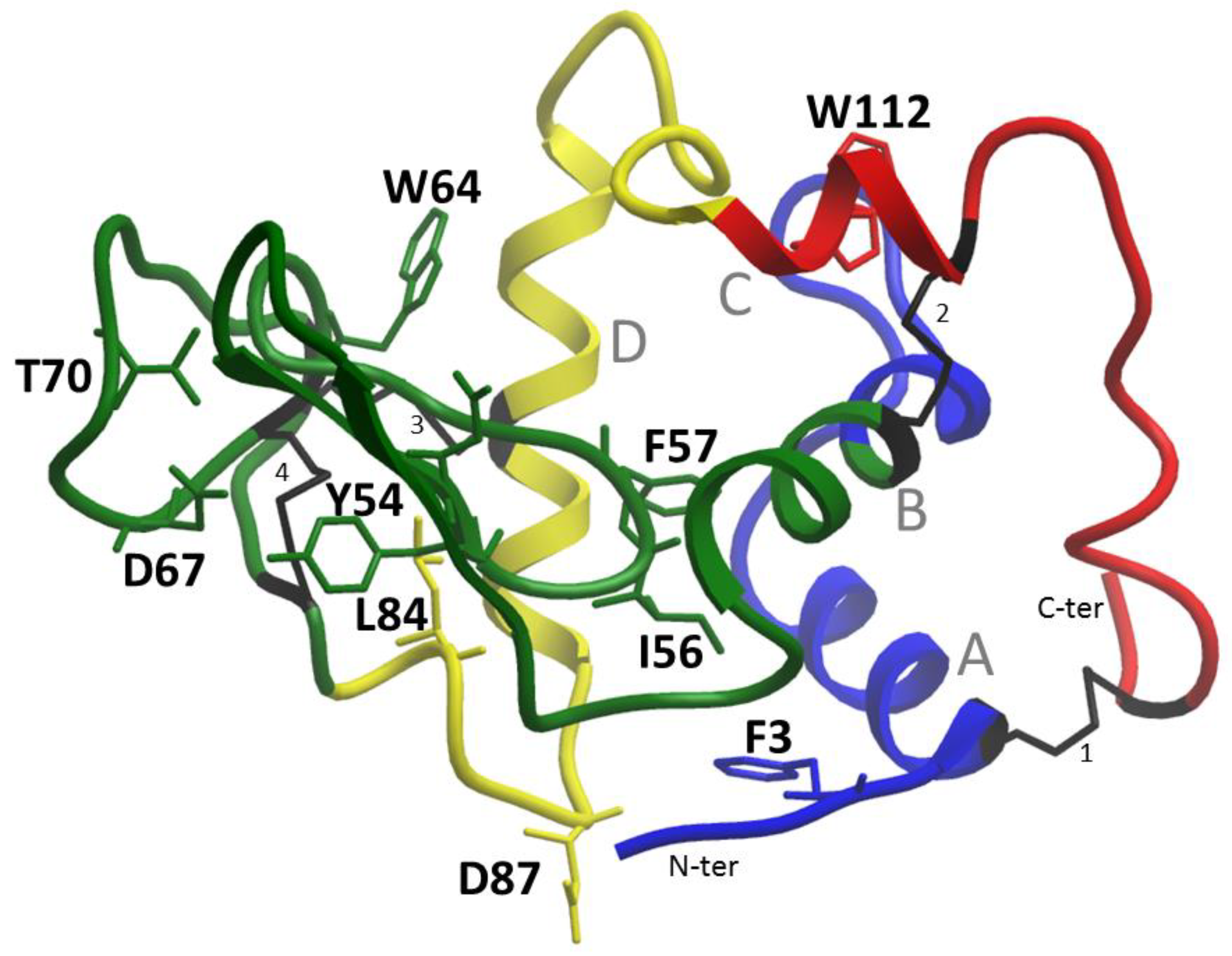IJMS | Free Full-Text | First Report of Lysozyme Amyloidosis with  p.F21L/T88N Amino Acid Substitutions in a Russian Family