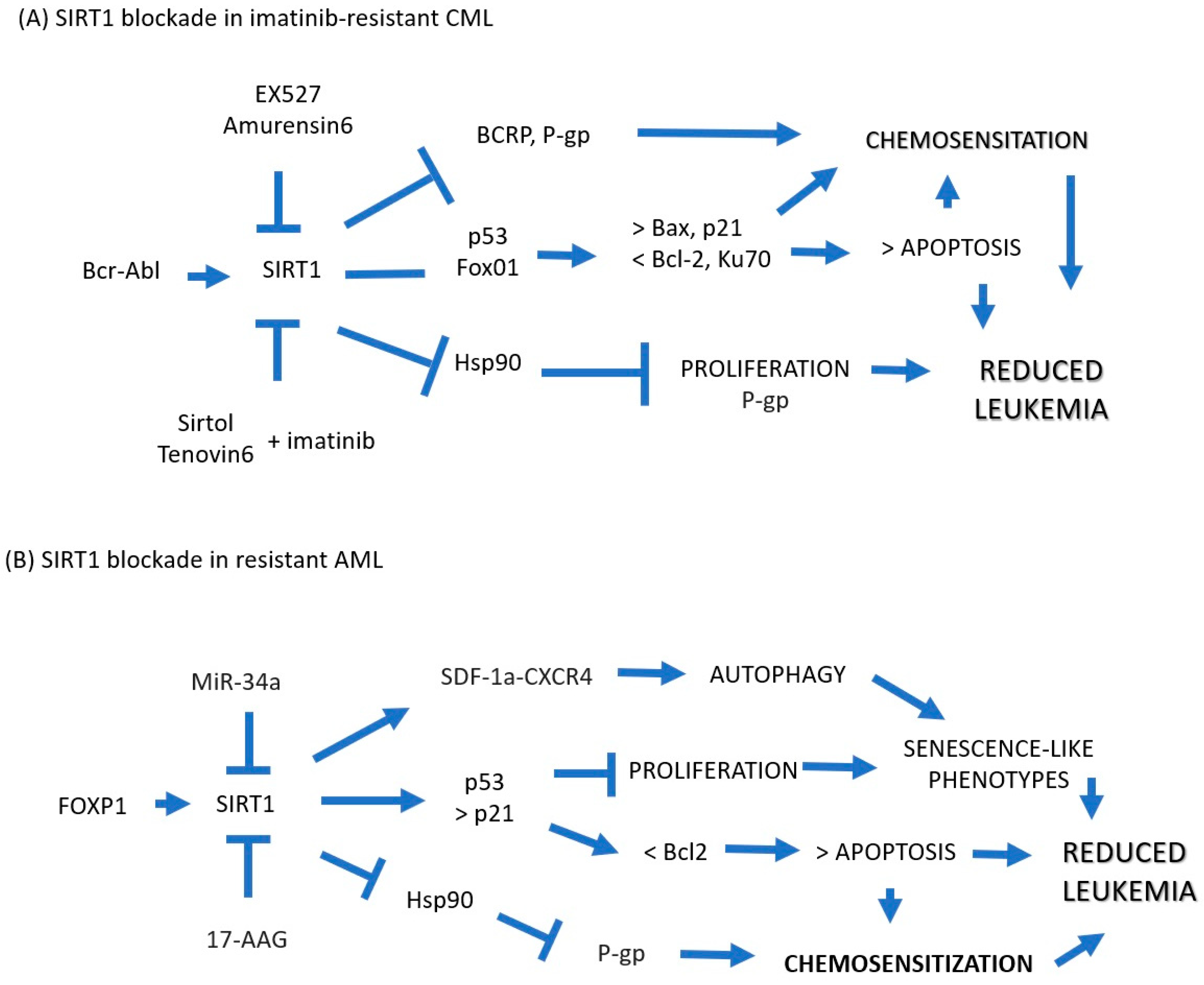 Ijms 24 14470 g002 Ijms 24 14470 g002