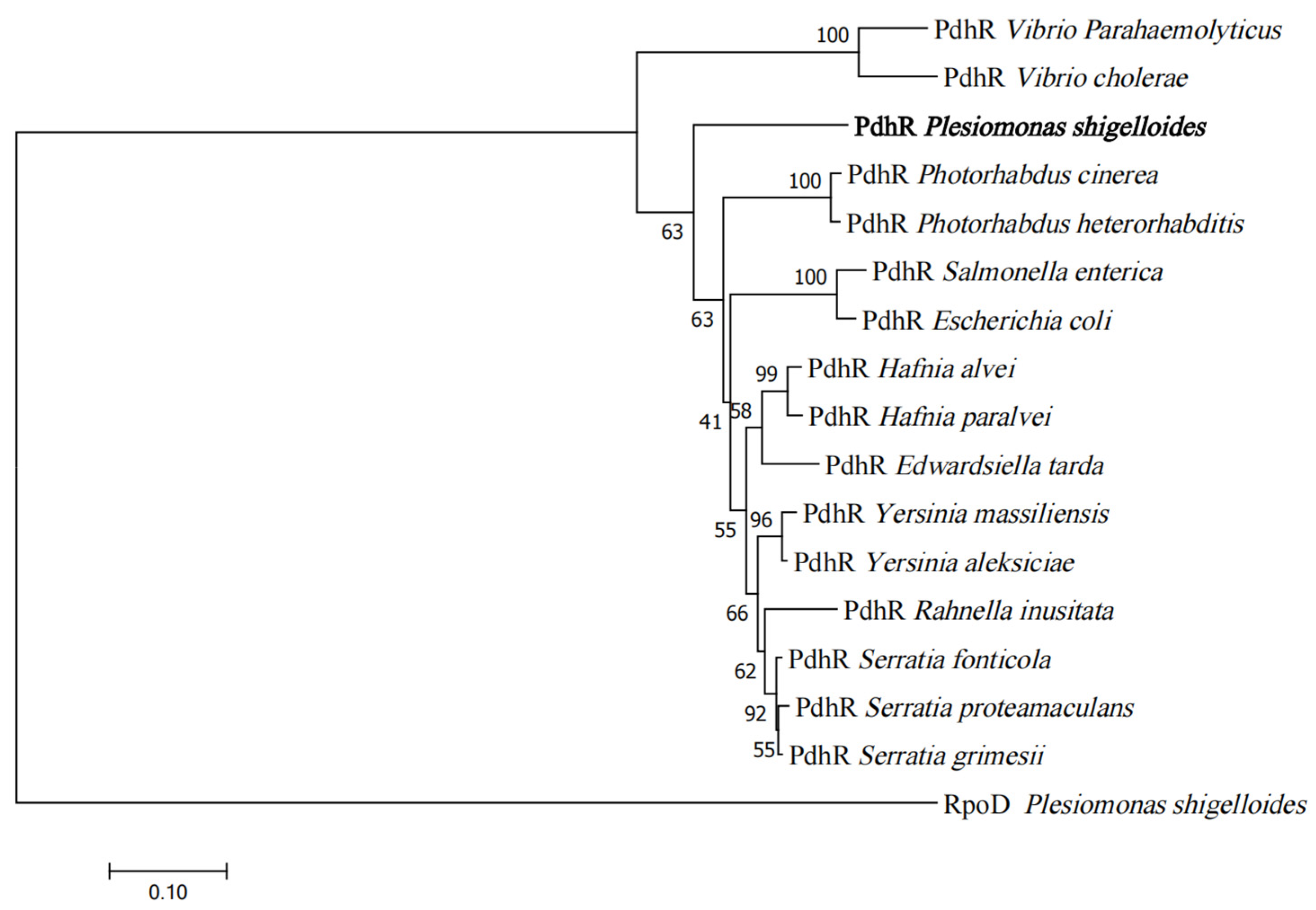 Ijms 24 14473 g001 Ijms 24 14473 g001