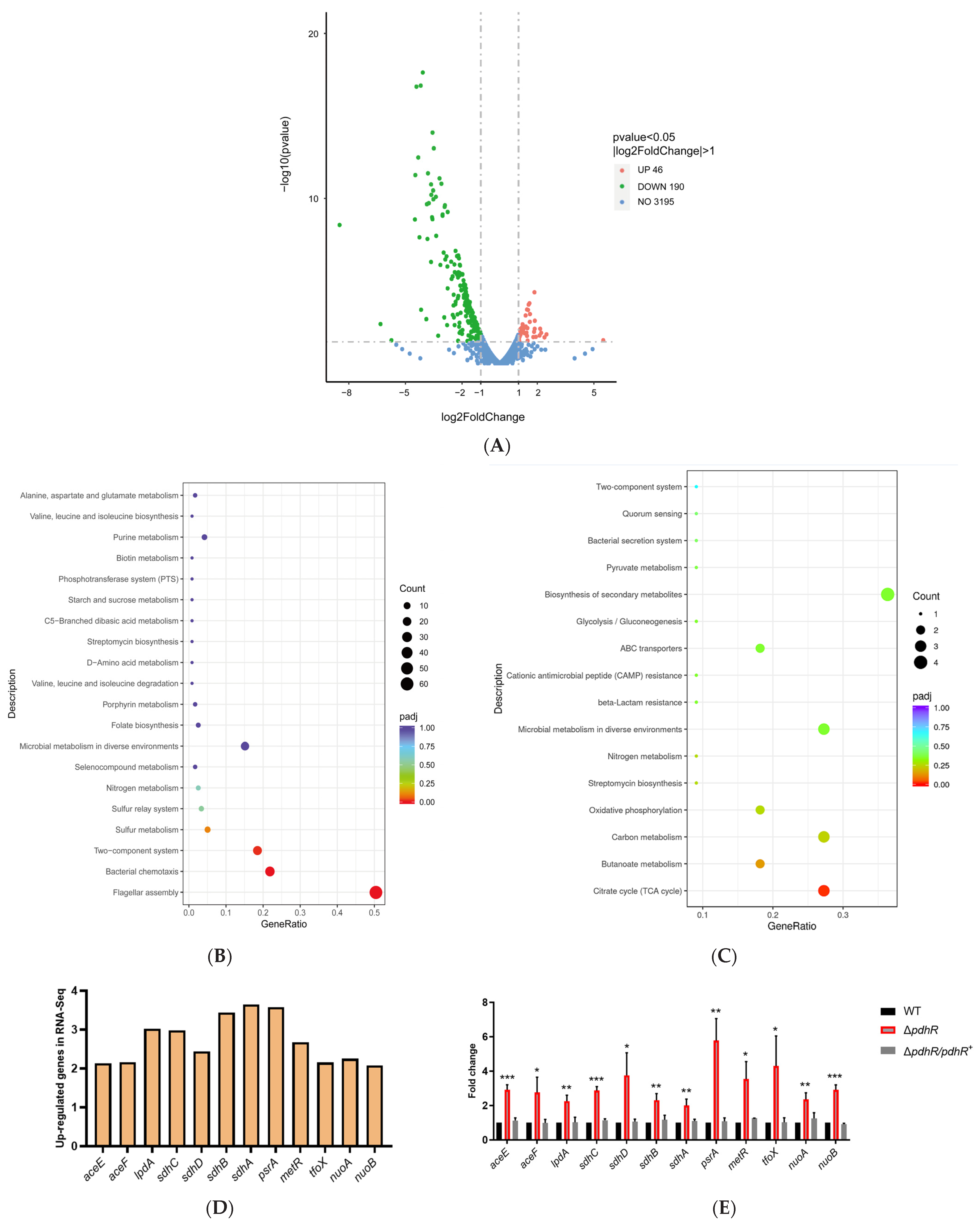 Ijms 24 14473 g002a Ijms 24 14473 g002a