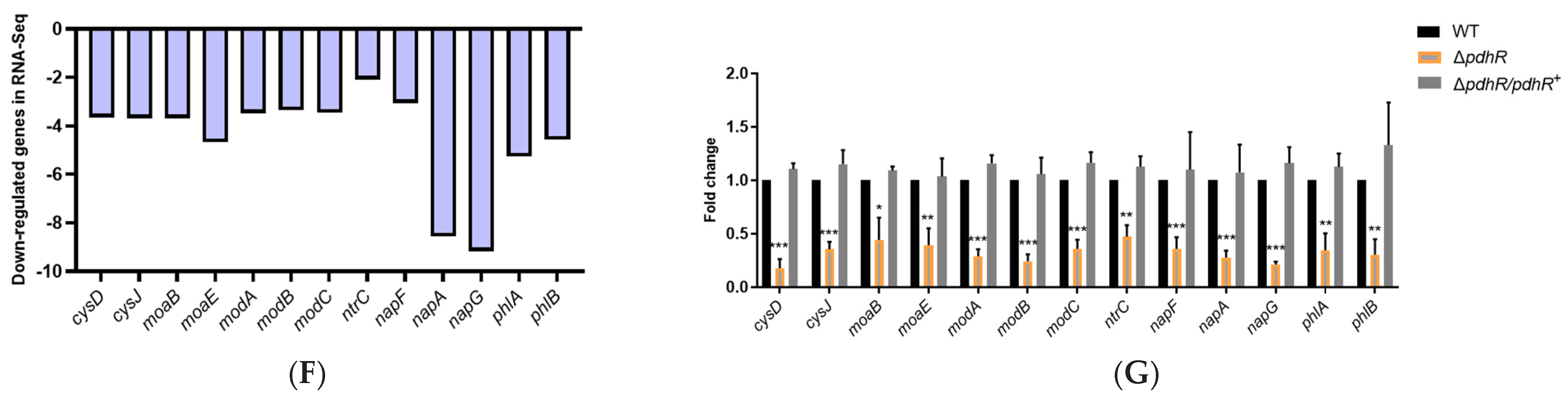 Ijms 24 14473 g002b Ijms 24 14473 g002b