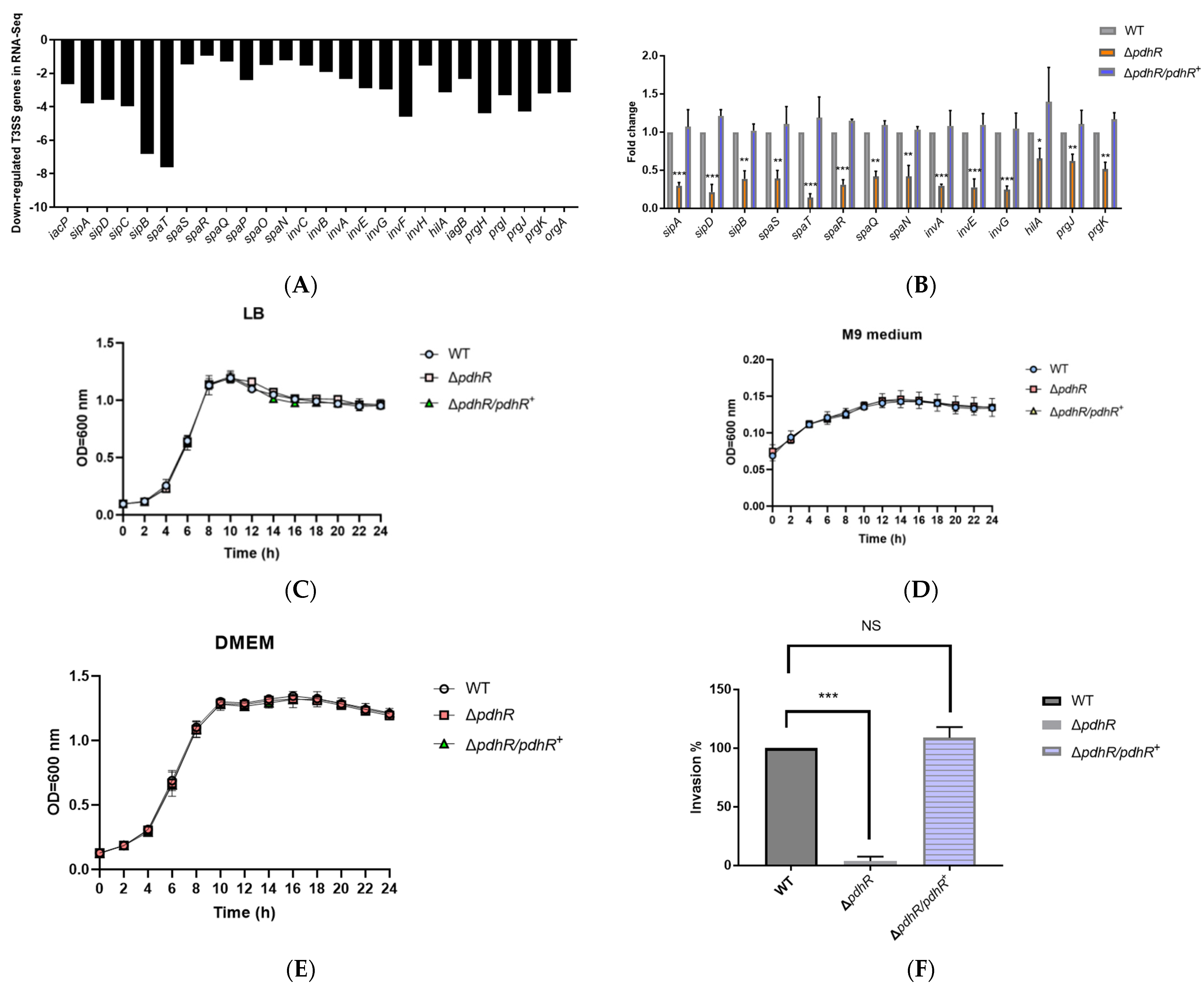 Ijms 24 14473 g004 Ijms 24 14473 g004