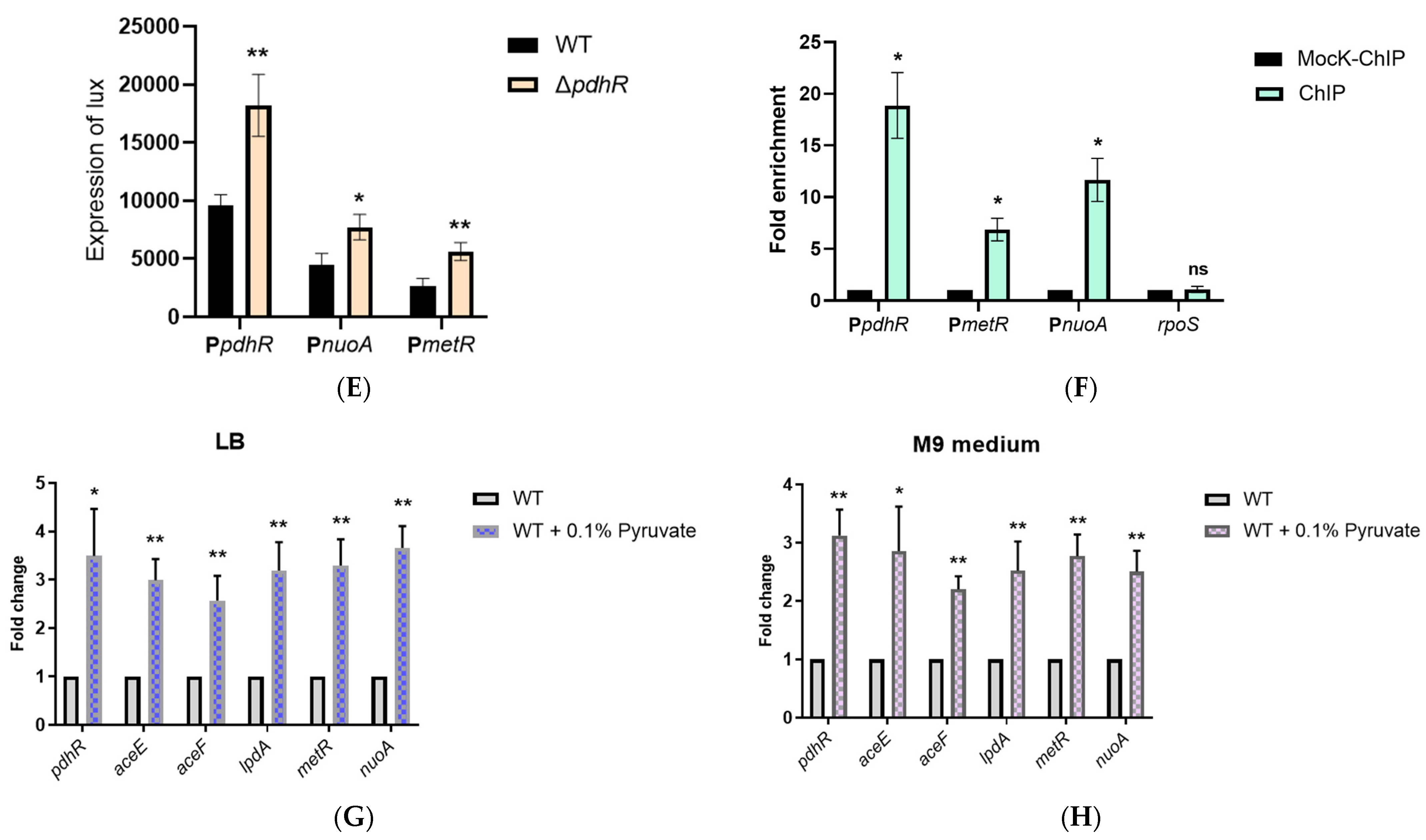 Ijms 24 14473 g005b Ijms 24 14473 g005b