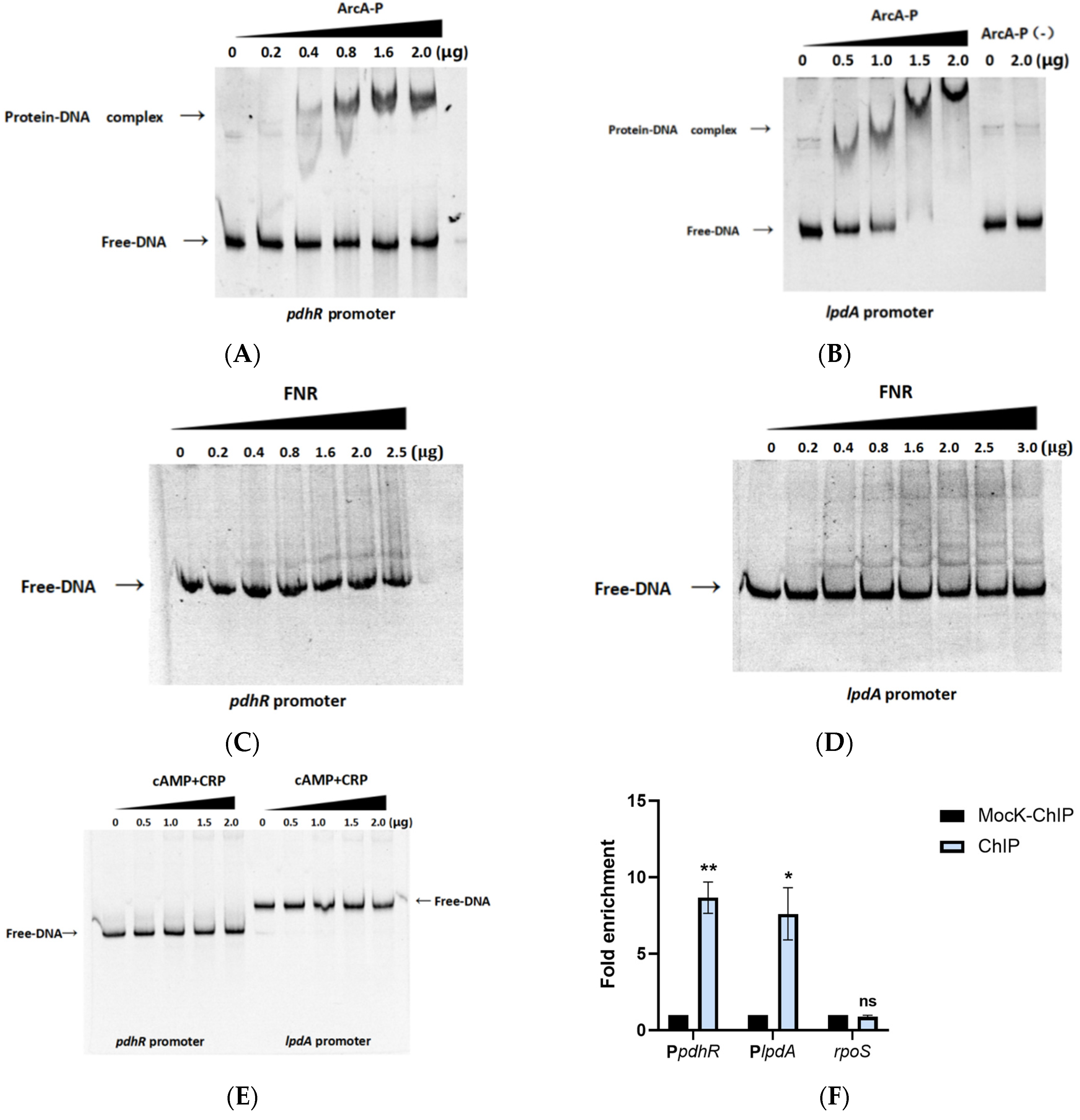 Ijms 24 14473 g006a Ijms 24 14473 g006a