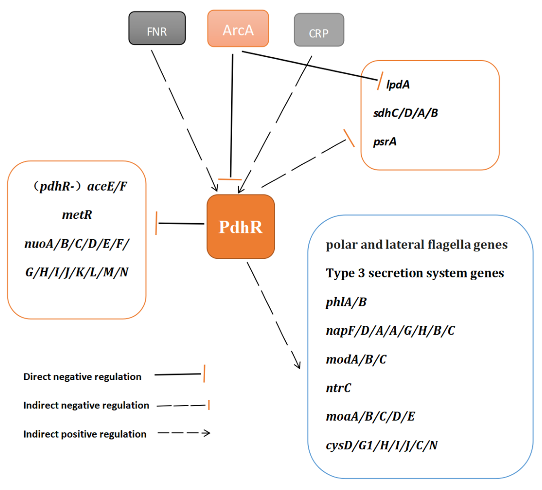 Ijms 24 14473 g007 Ijms 24 14473 g007