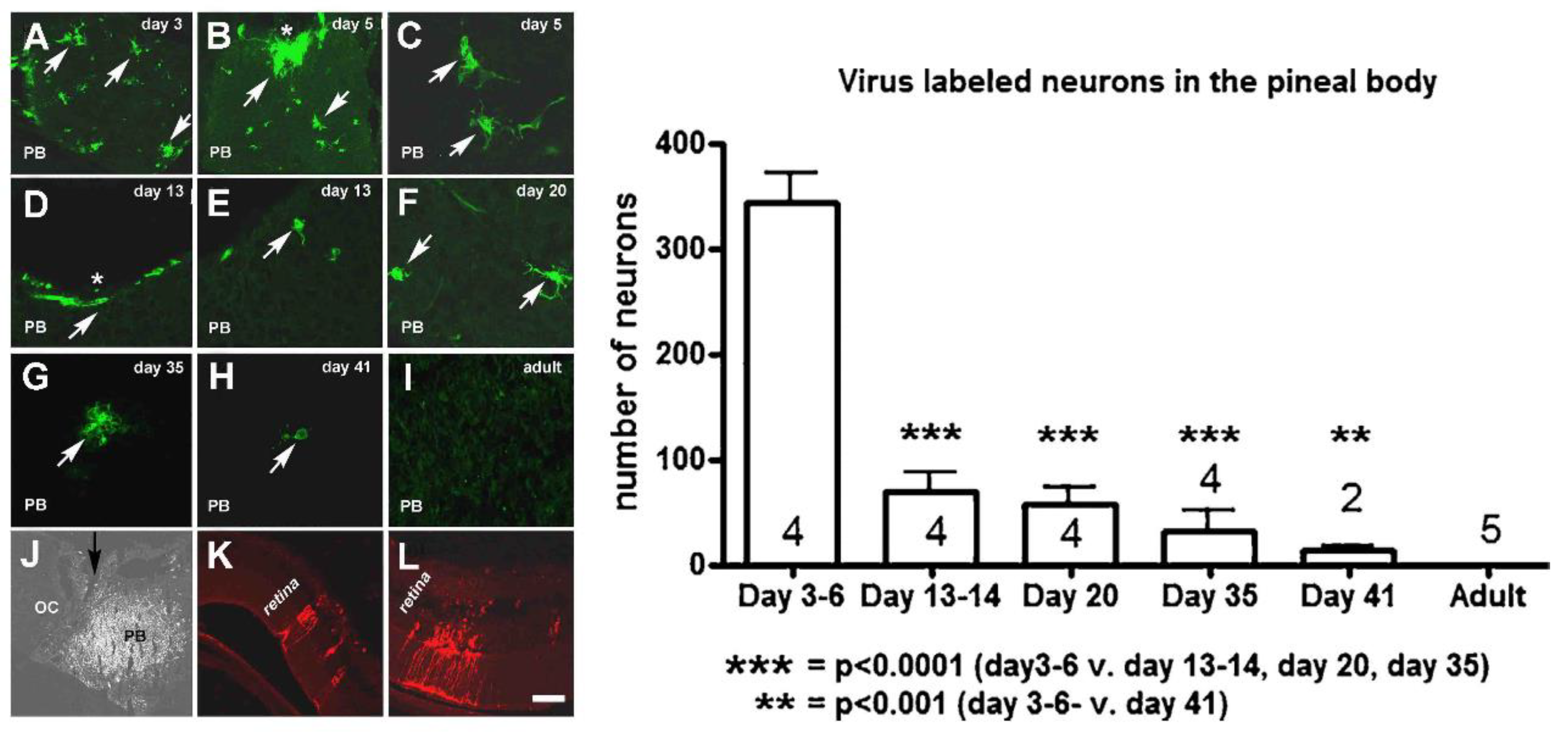Ijms 24 14478 g002 Ijms 24 14478 g002