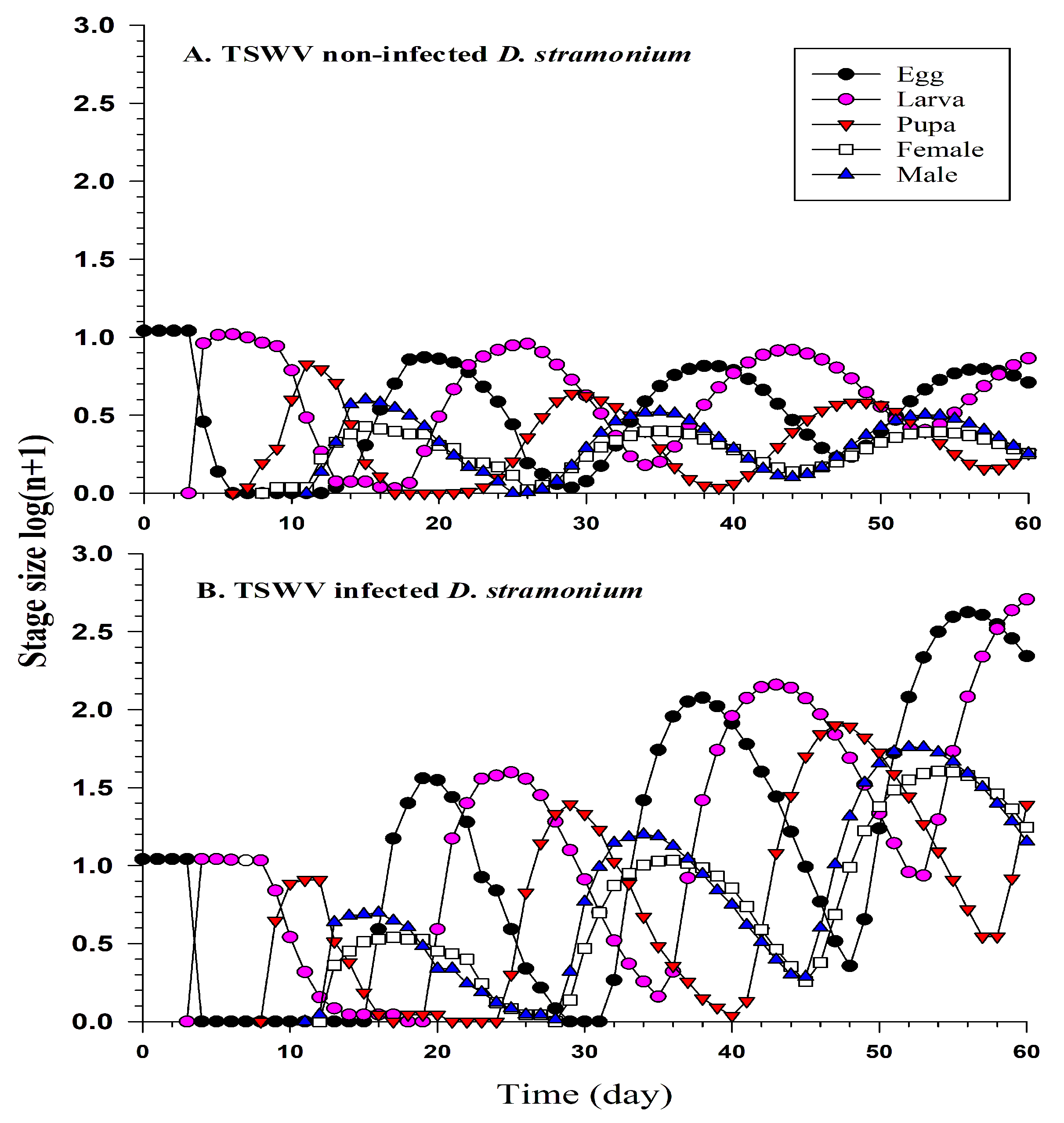 Ijms 24 14493 g004 Ijms 24 14493 g004
