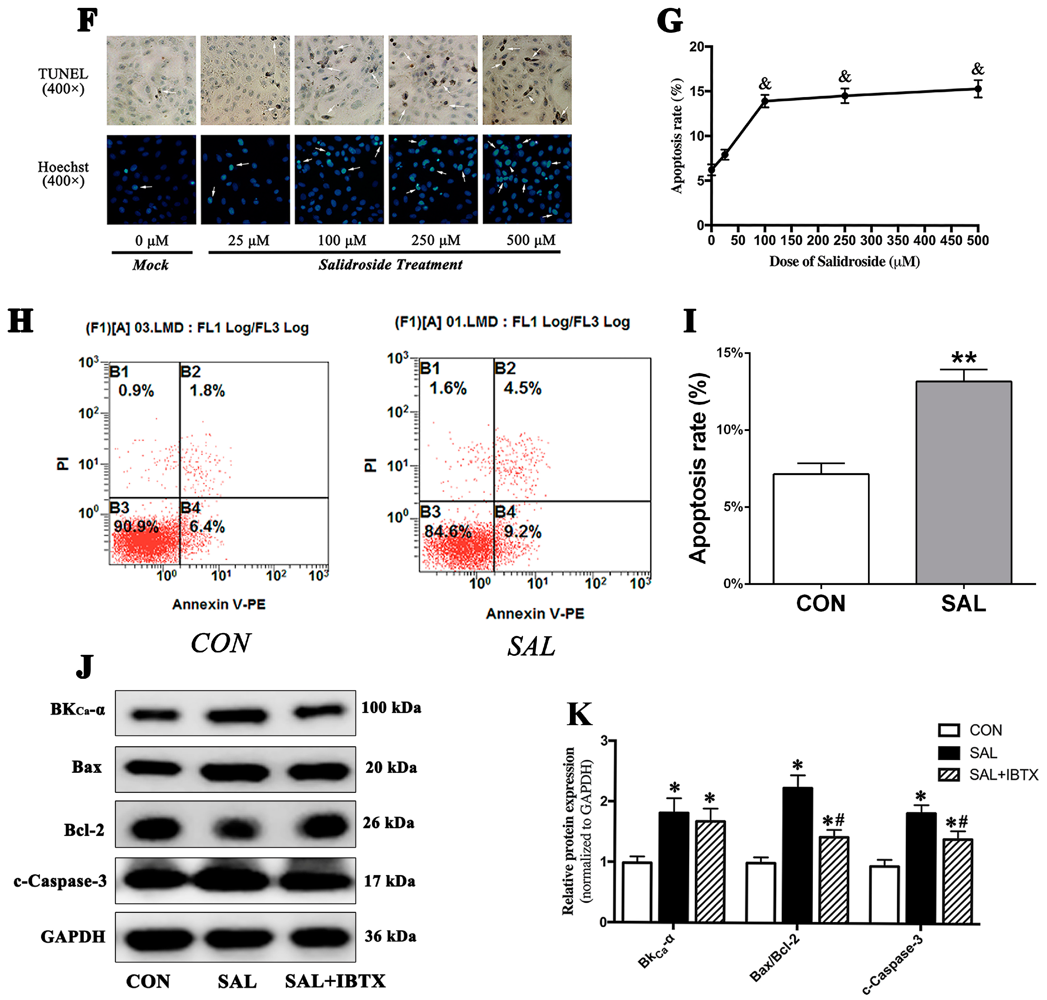 Ijms 24 14531 g002b Ijms 24 14531 g002b