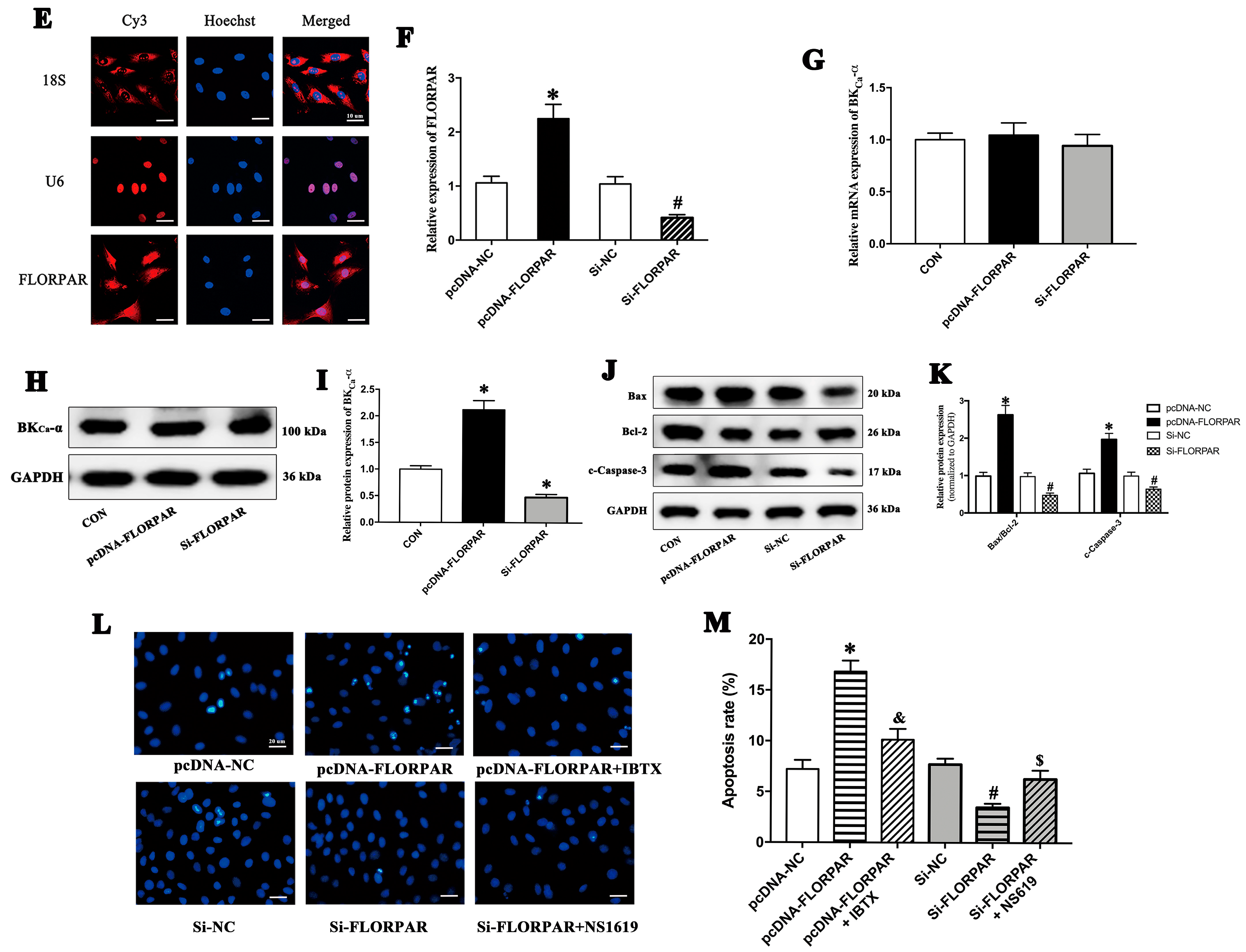 Ijms 24 14531 g003b Ijms 24 14531 g003b