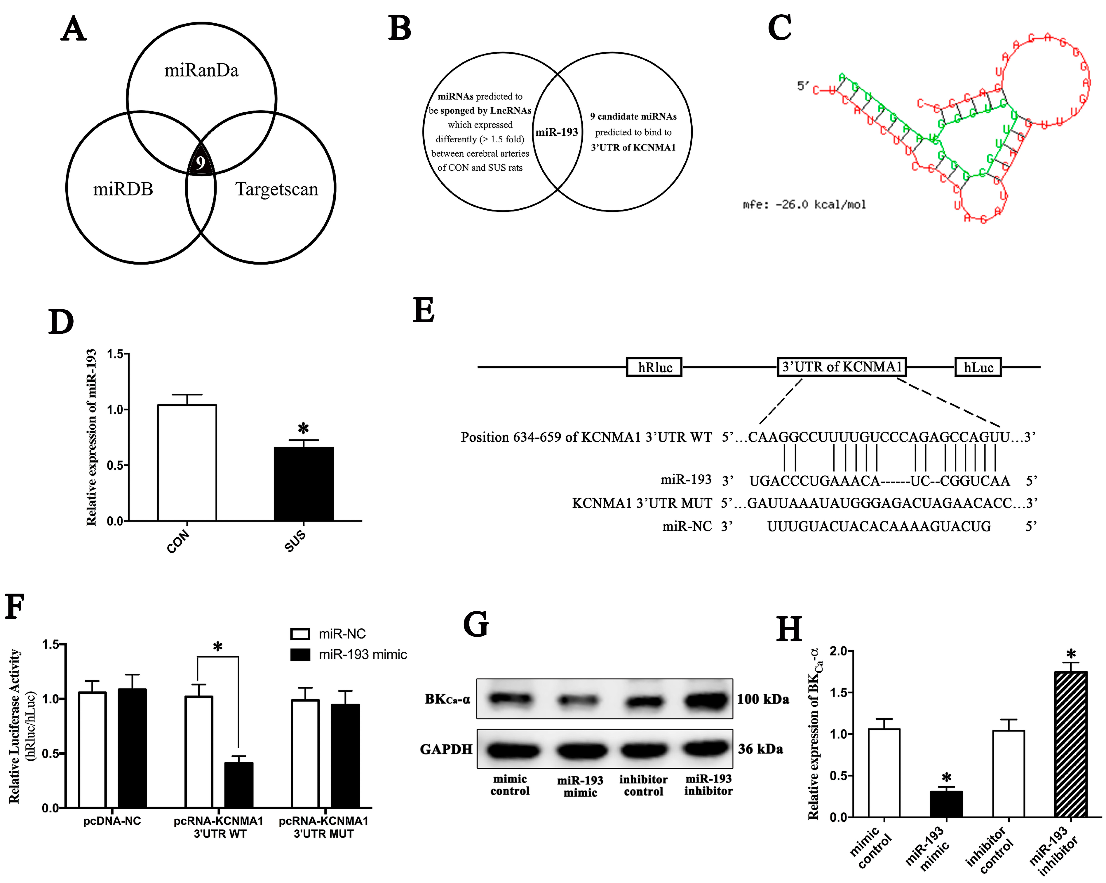 Ijms 24 14531 g004a Ijms 24 14531 g004a