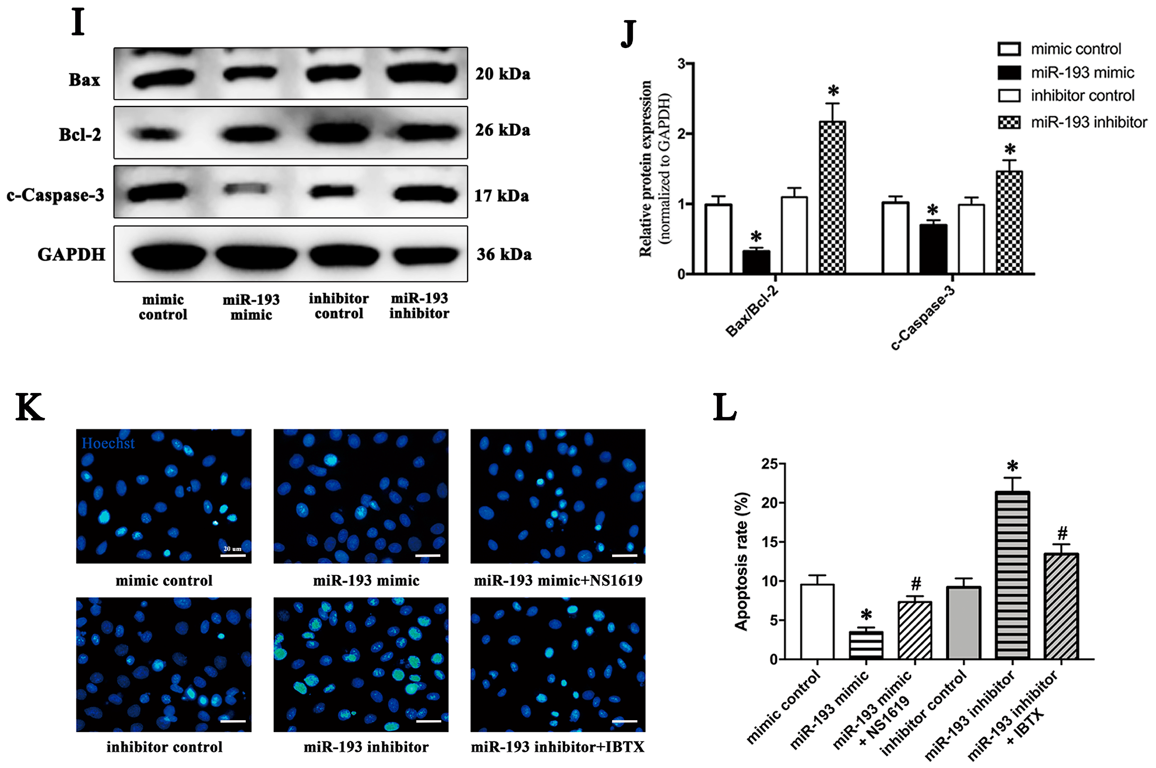 Ijms 24 14531 g004b Ijms 24 14531 g004b