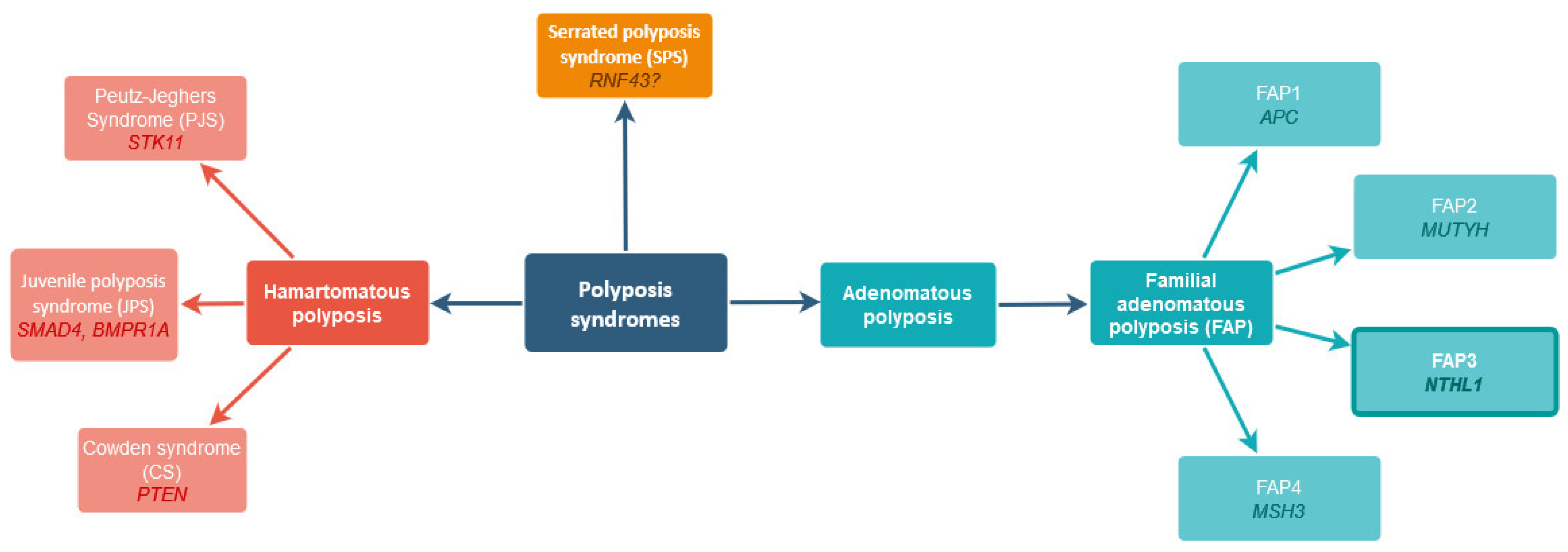 IJMS | Free Full-Text | NTHL1 Gene Mutations in Polish Polyposis