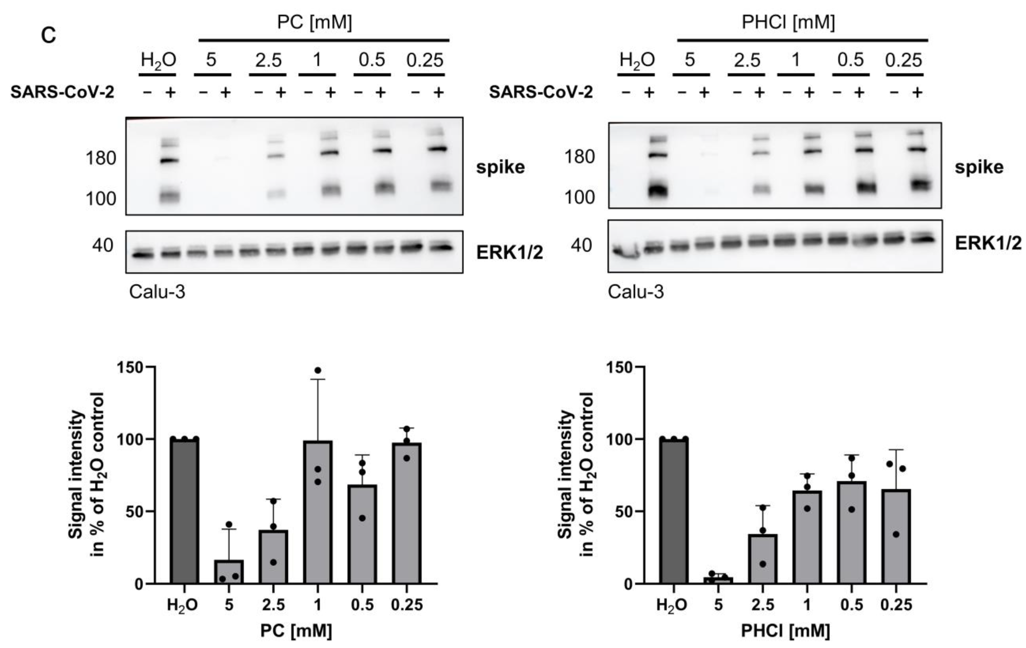 Ijms 24 14584 g001b Ijms 24 14584 g001b