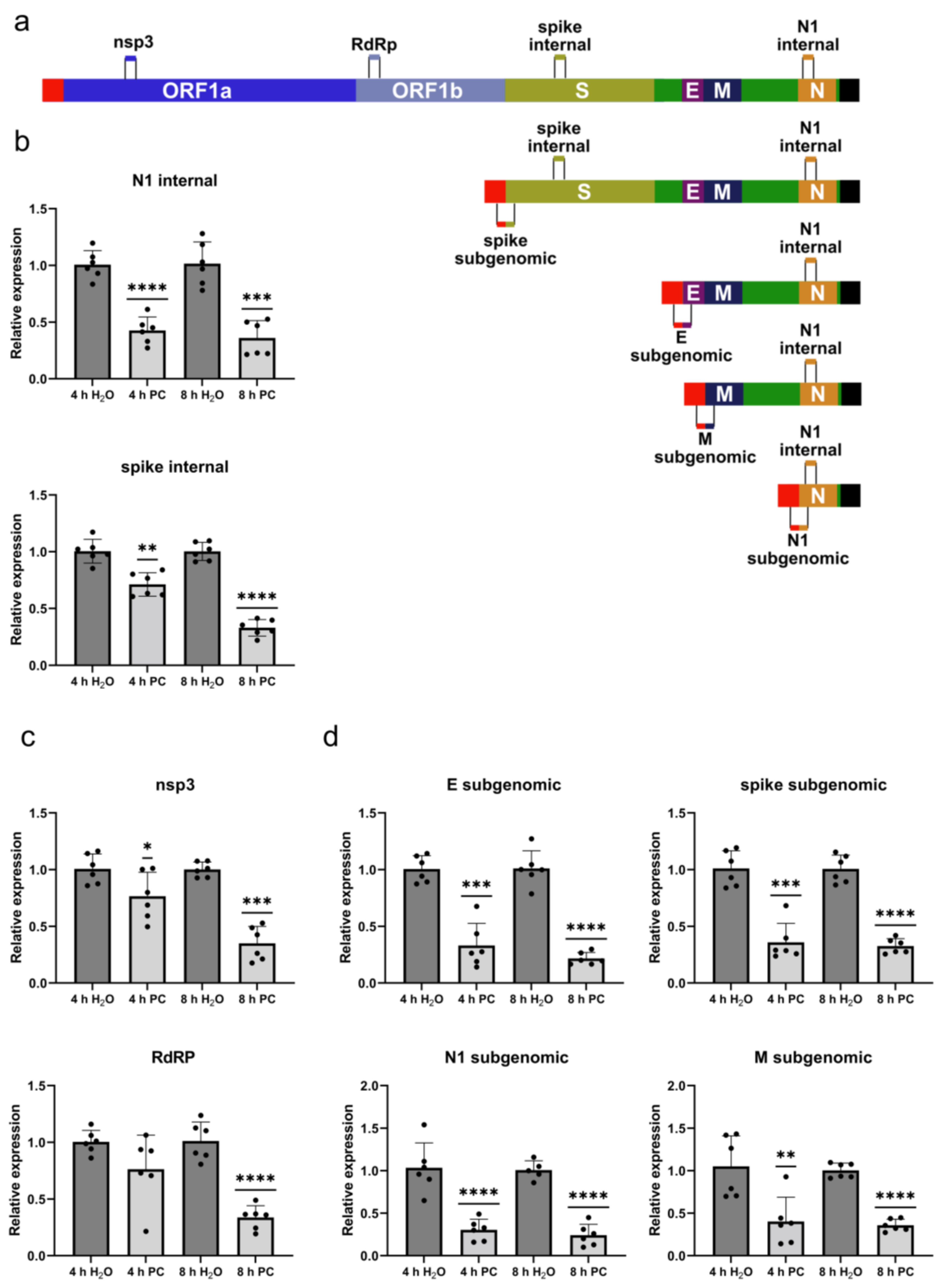 Ijms 24 14584 g004 Ijms 24 14584 g004