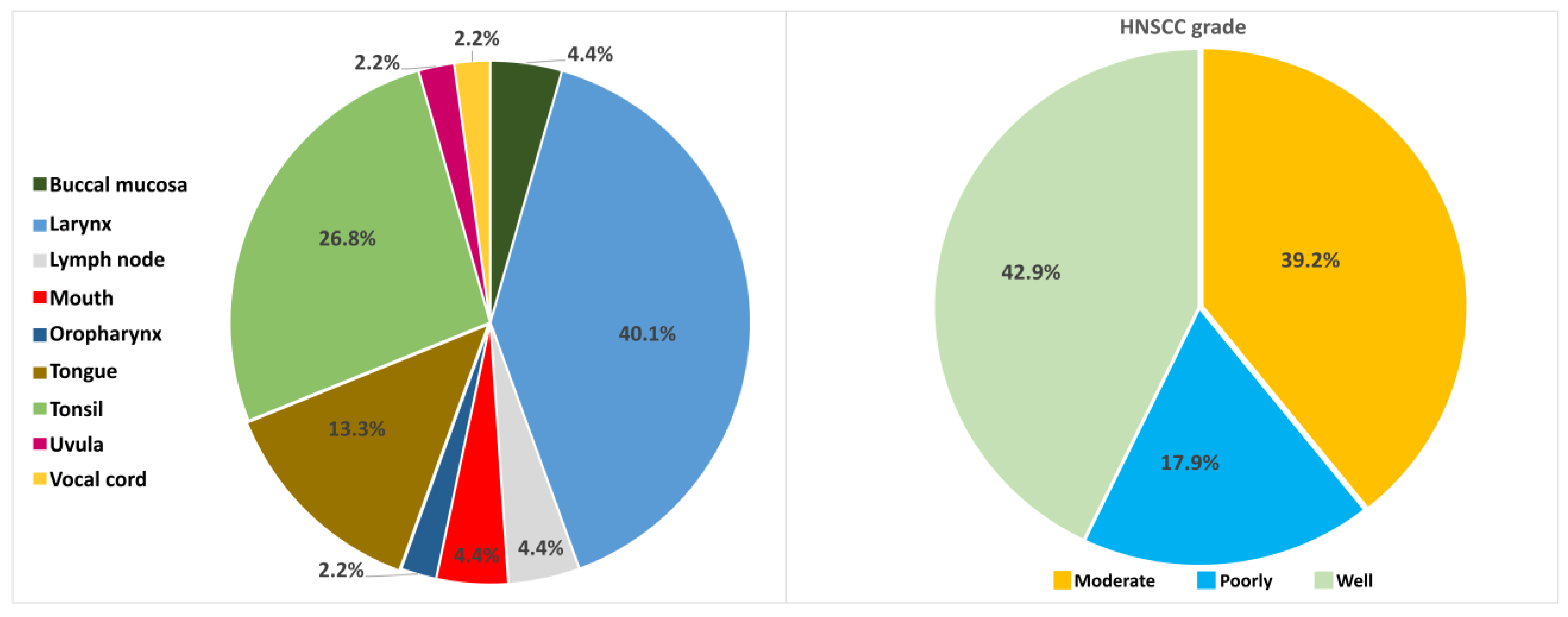 Ijms 24 14593 g002 Ijms 24 14593 g002