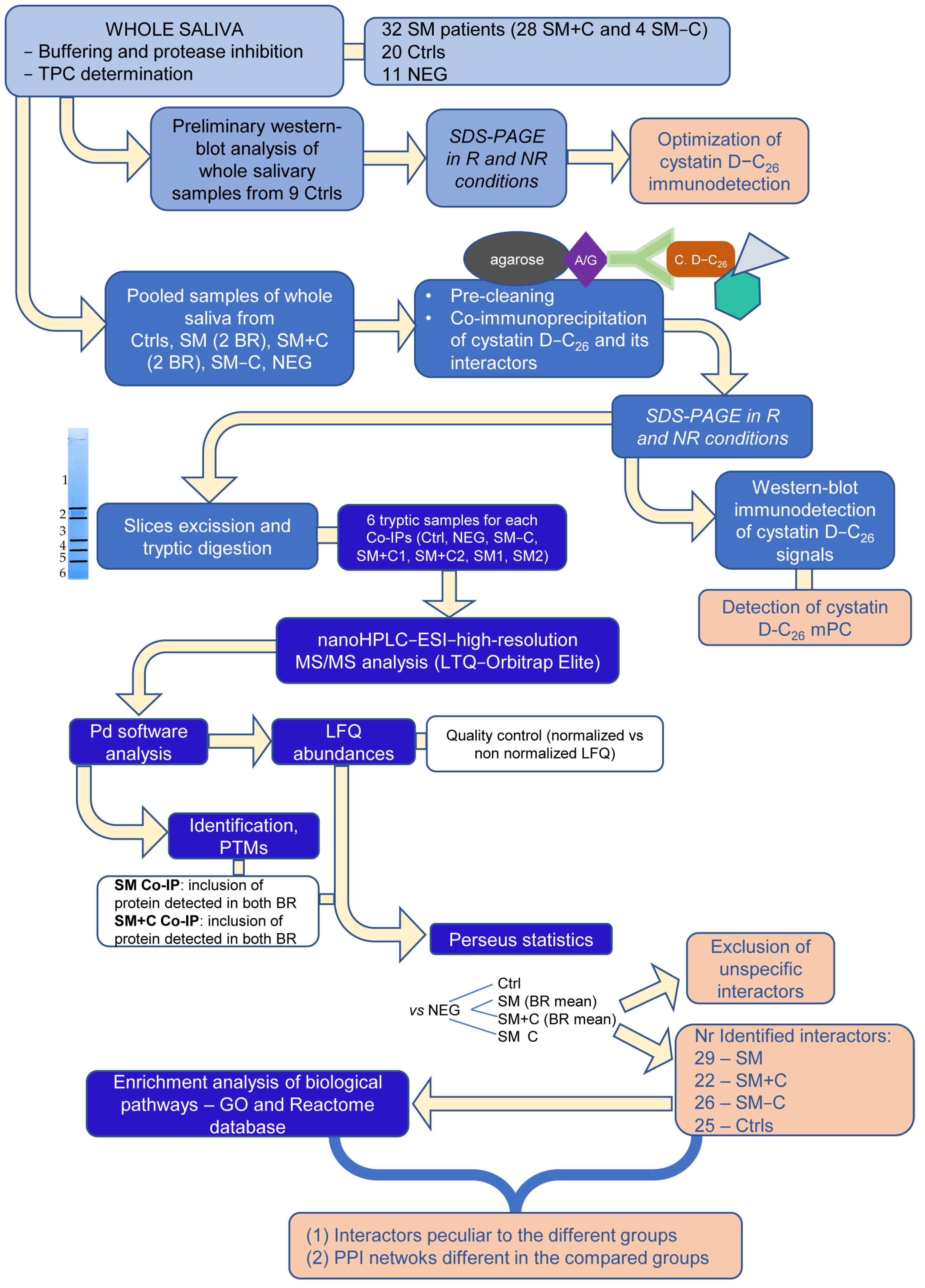 Ijms 24 14613 g001 Ijms 24 14613 g001