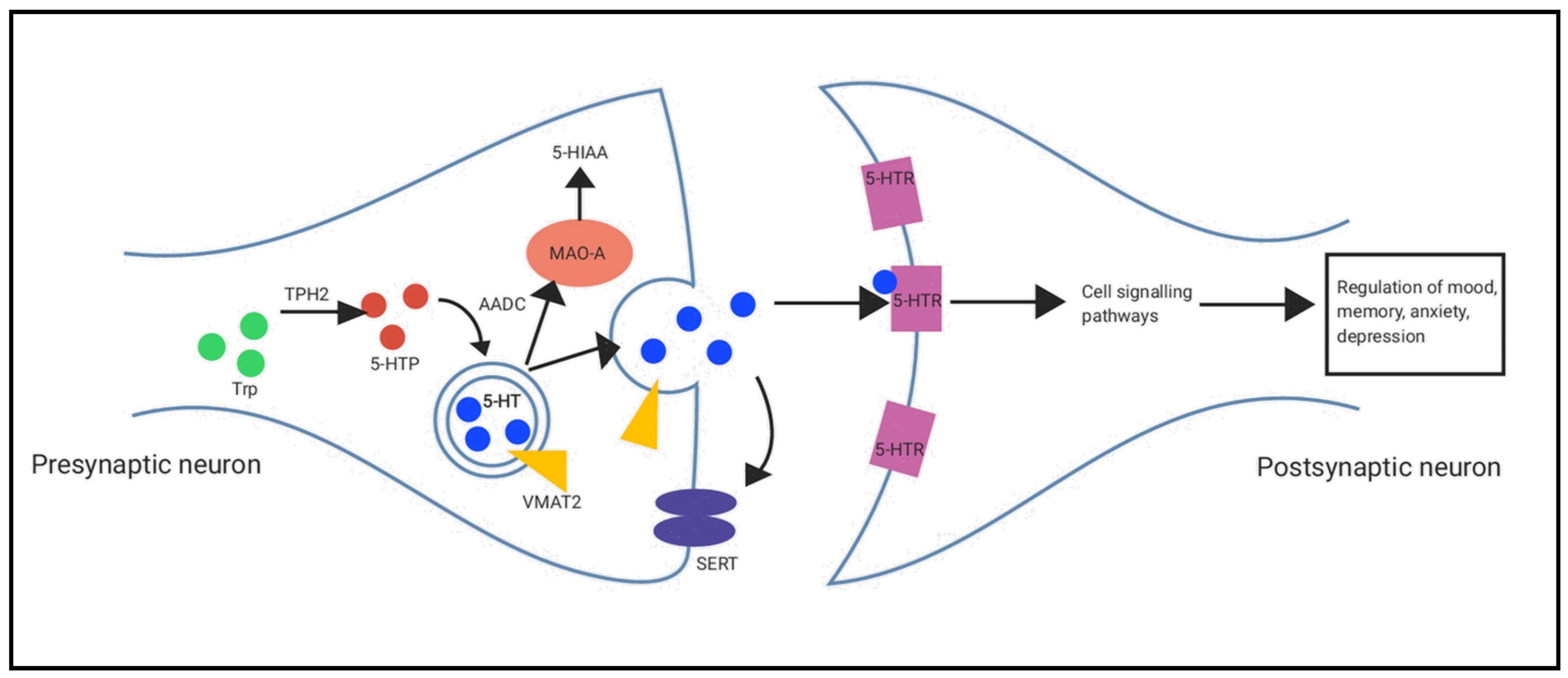Ijms 24 14618 sch001