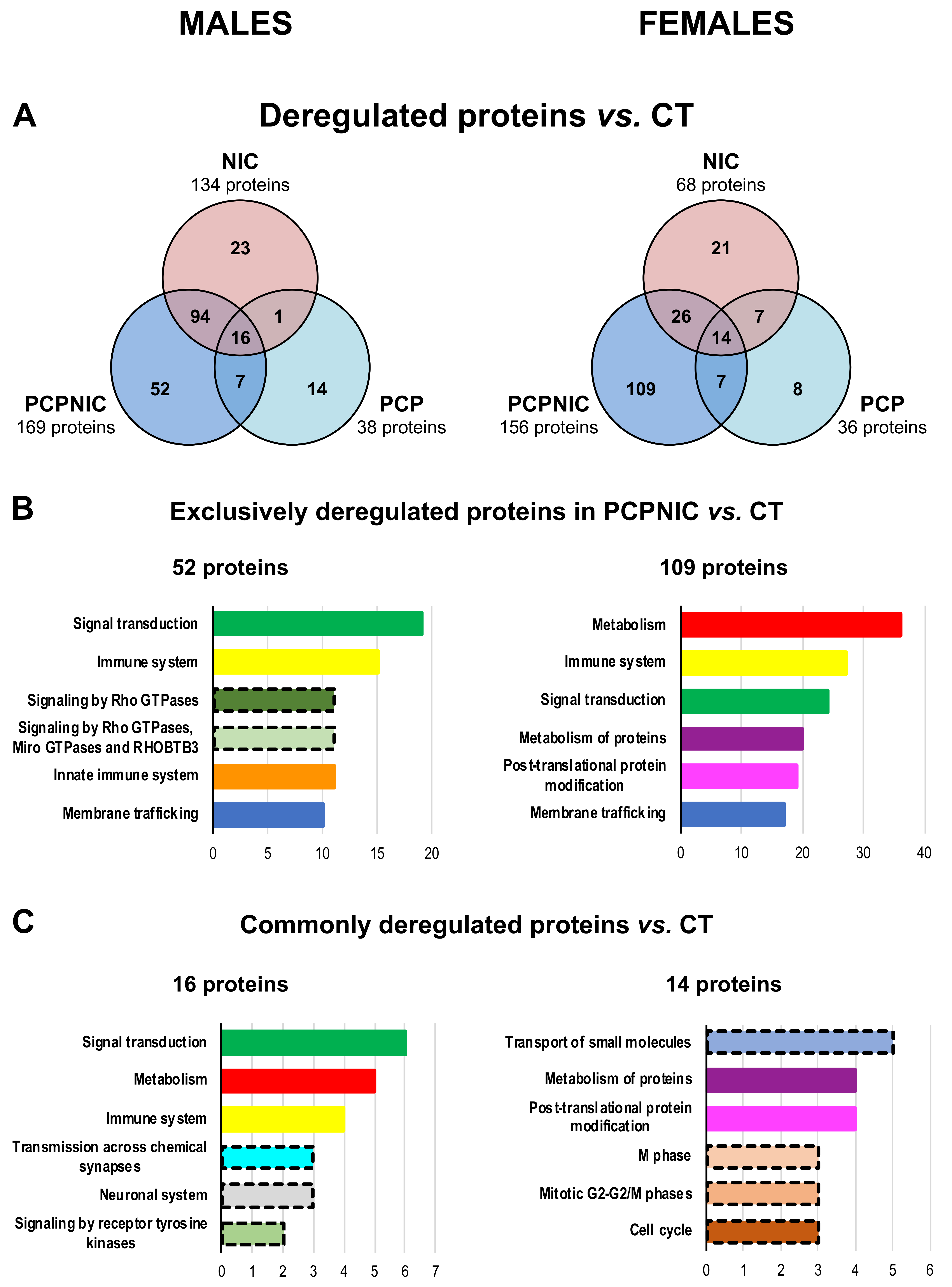 Ijms 24 14634 g002 Ijms 24 14634 g002