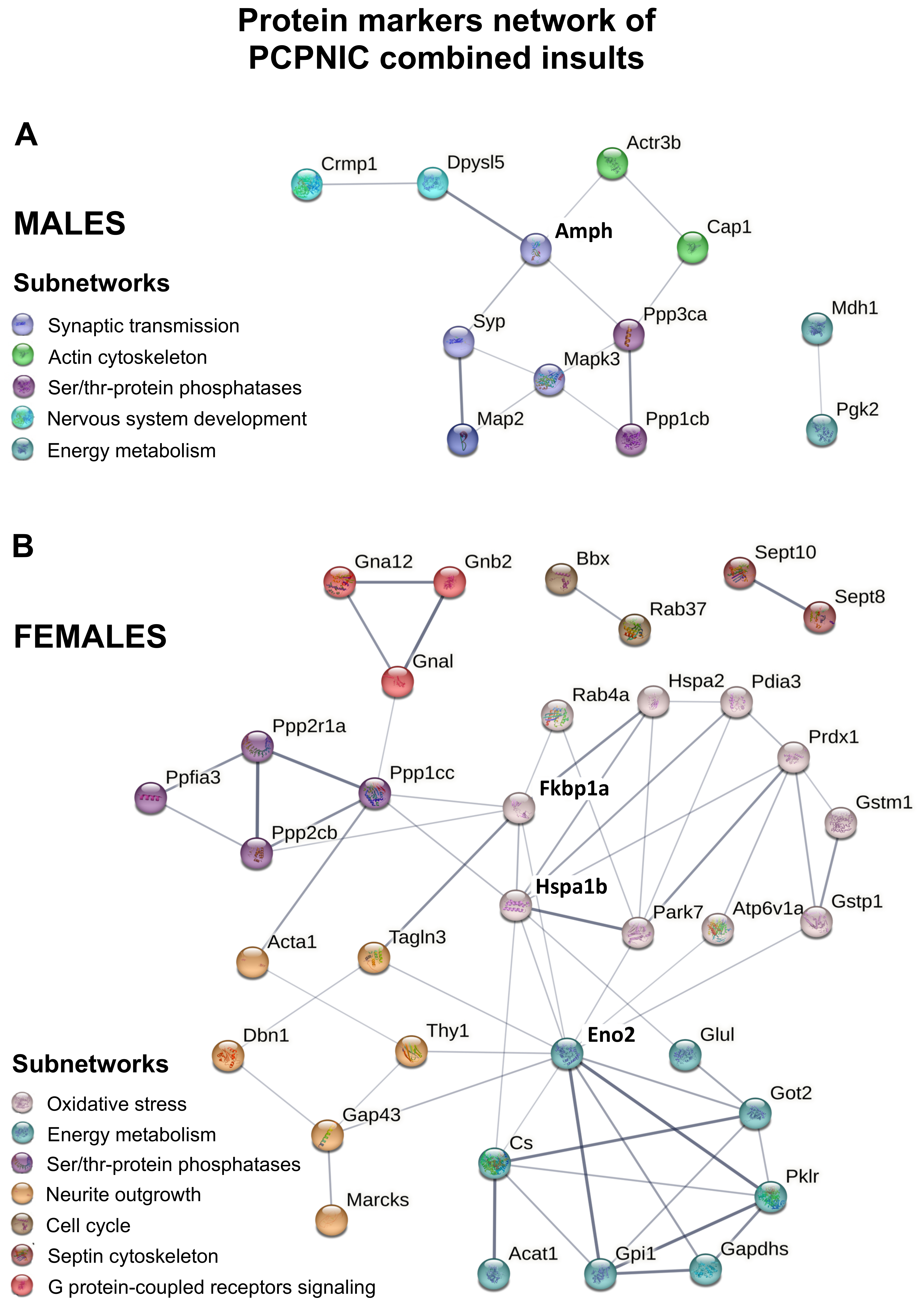 Ijms 24 14634 g005 Ijms 24 14634 g005