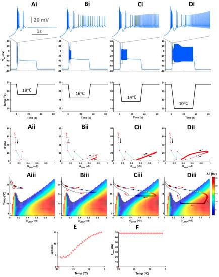 Bursty spike trains of antennal thermo- and bimodal hygro-thermoreceptor  neurons encode noxious heat in elaterid beetles - ScienceDirect