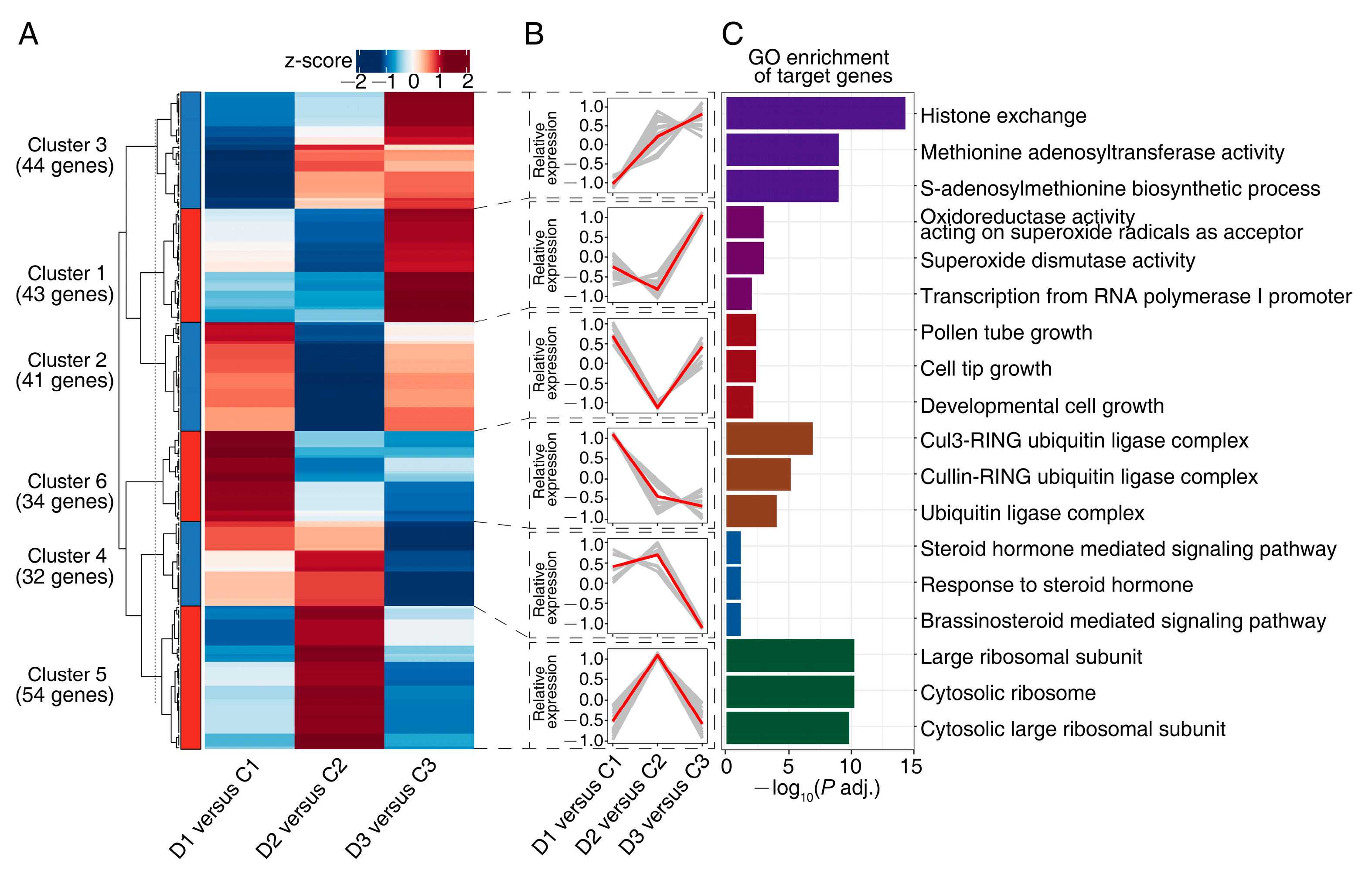 Ijms 24 14655 g003 Ijms 24 14655 g003