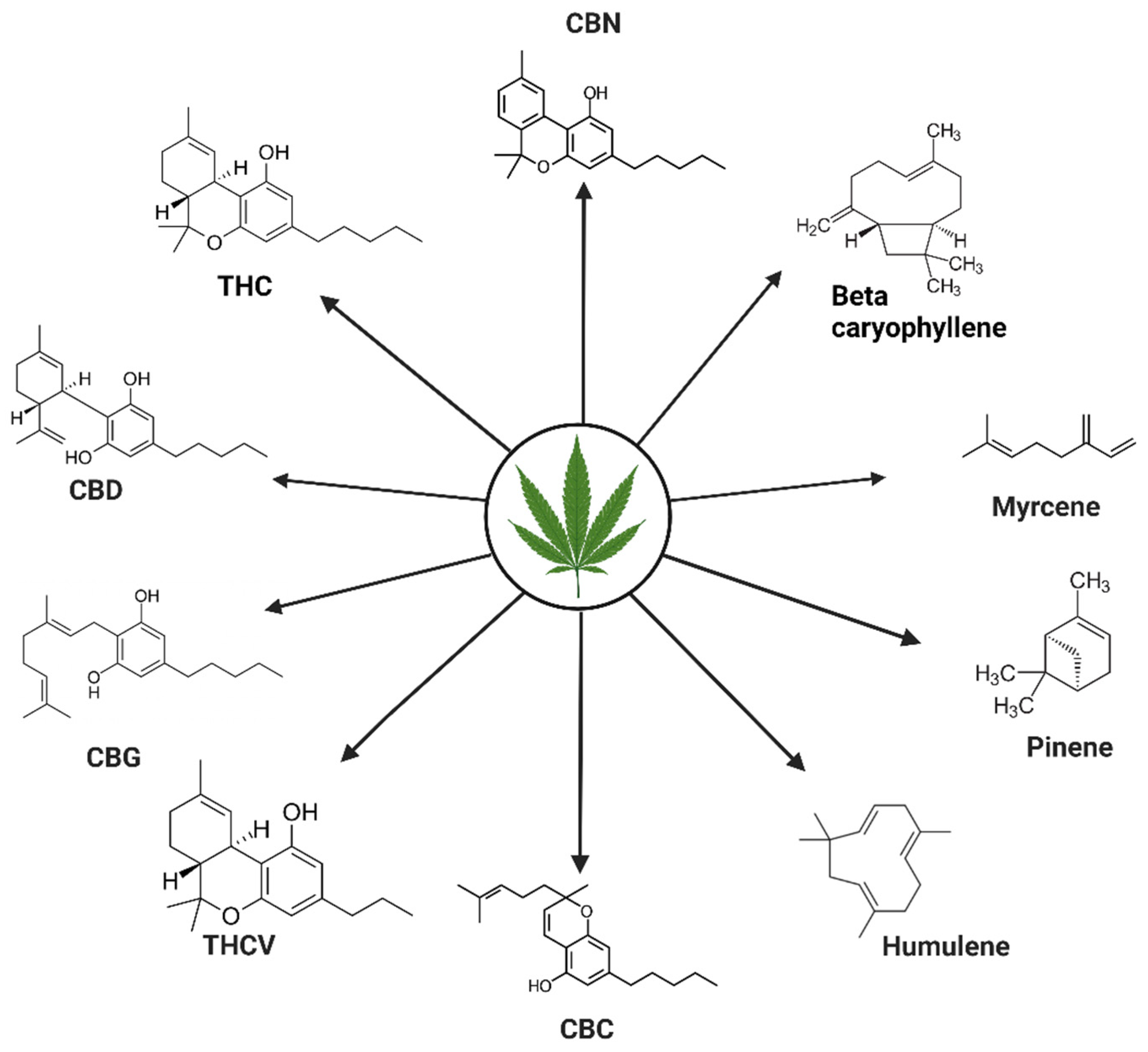 Ijms 24 14677 g002 Ijms 24 14677 g002