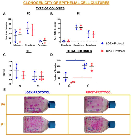 Ijms Free Full Text Comparison Of Two Human Skin Cell Isolation Protocols And Their 8077