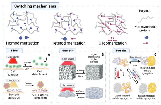 IJMS Free Full Text Current Trends of Bacterial and Fungal