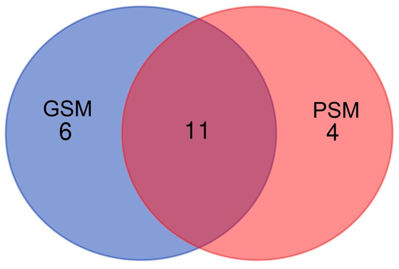 IJMS | Free Full-Text | Proteome Profiling of Canine Epididymal