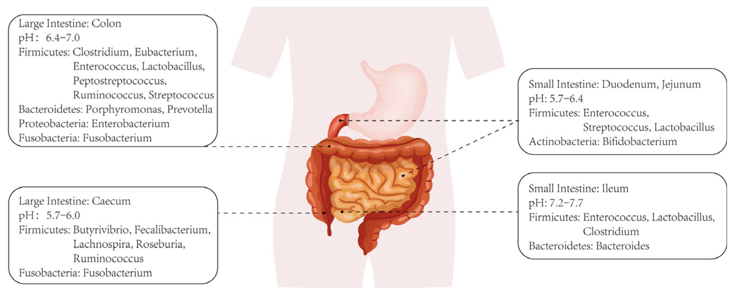 Ijms 24 14809 g001 Ijms 24 14809 g001