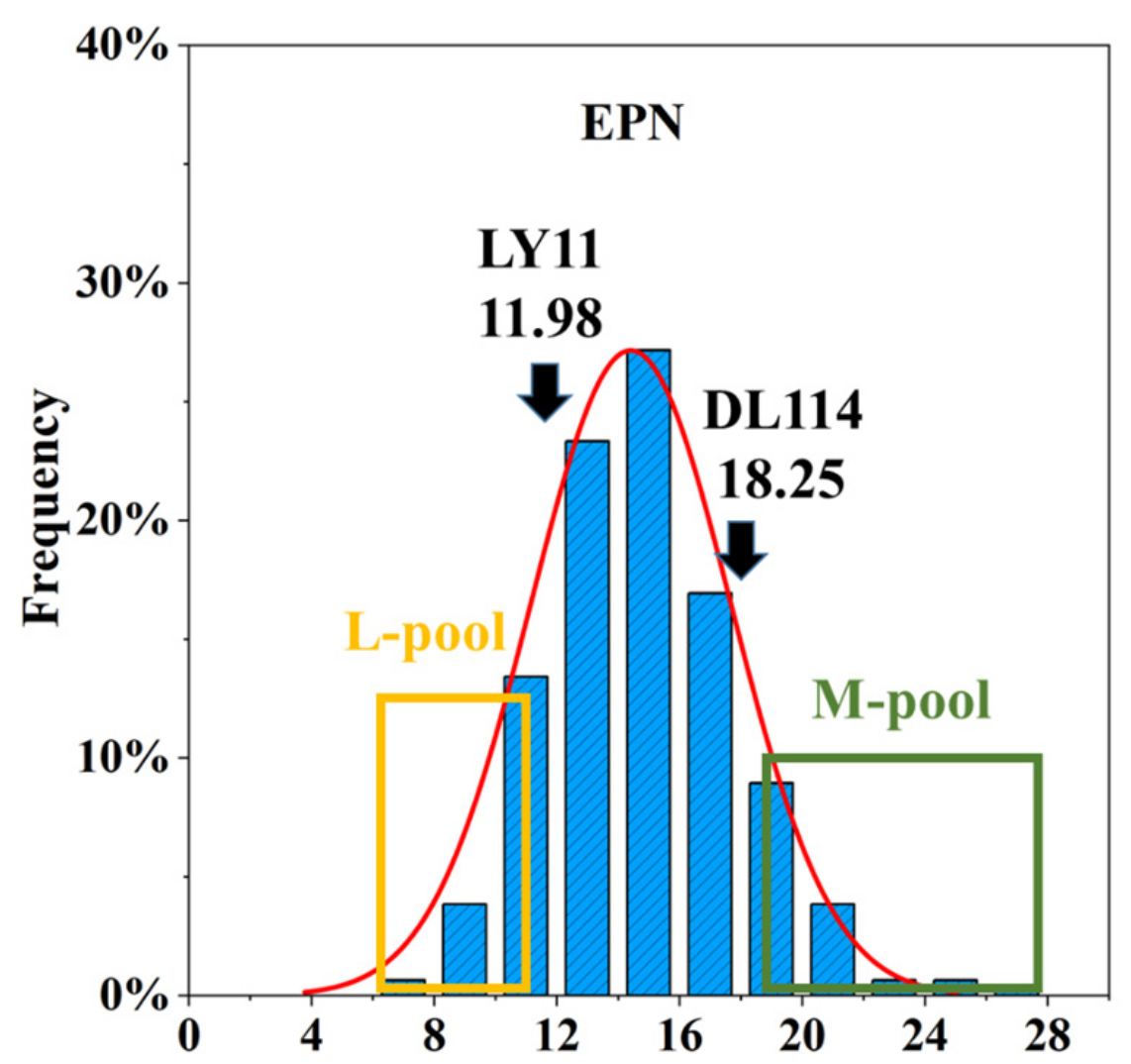 Ijms 24 14838 g001 Ijms 24 14838 g001