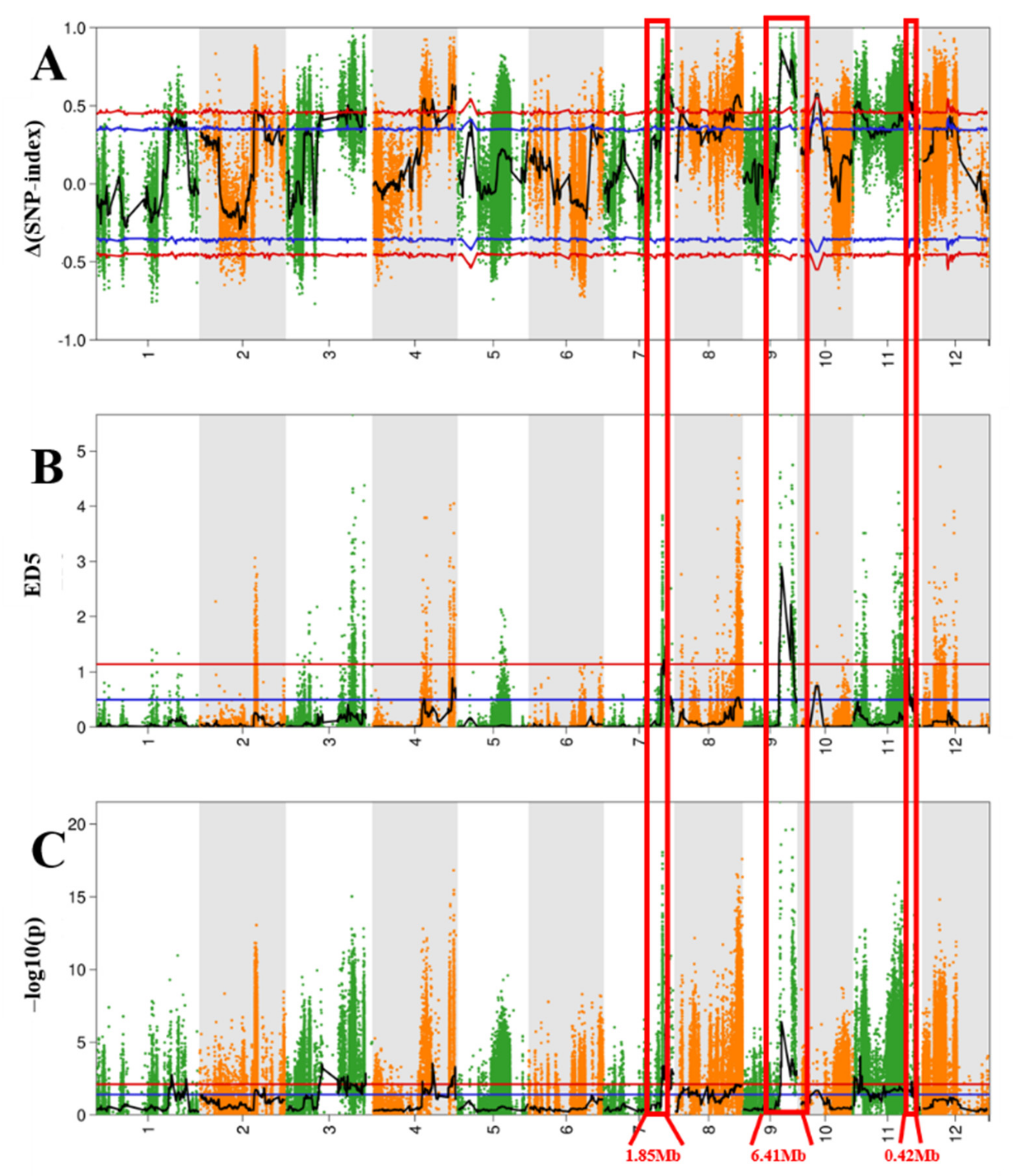 Ijms 24 14838 g002 Ijms 24 14838 g002