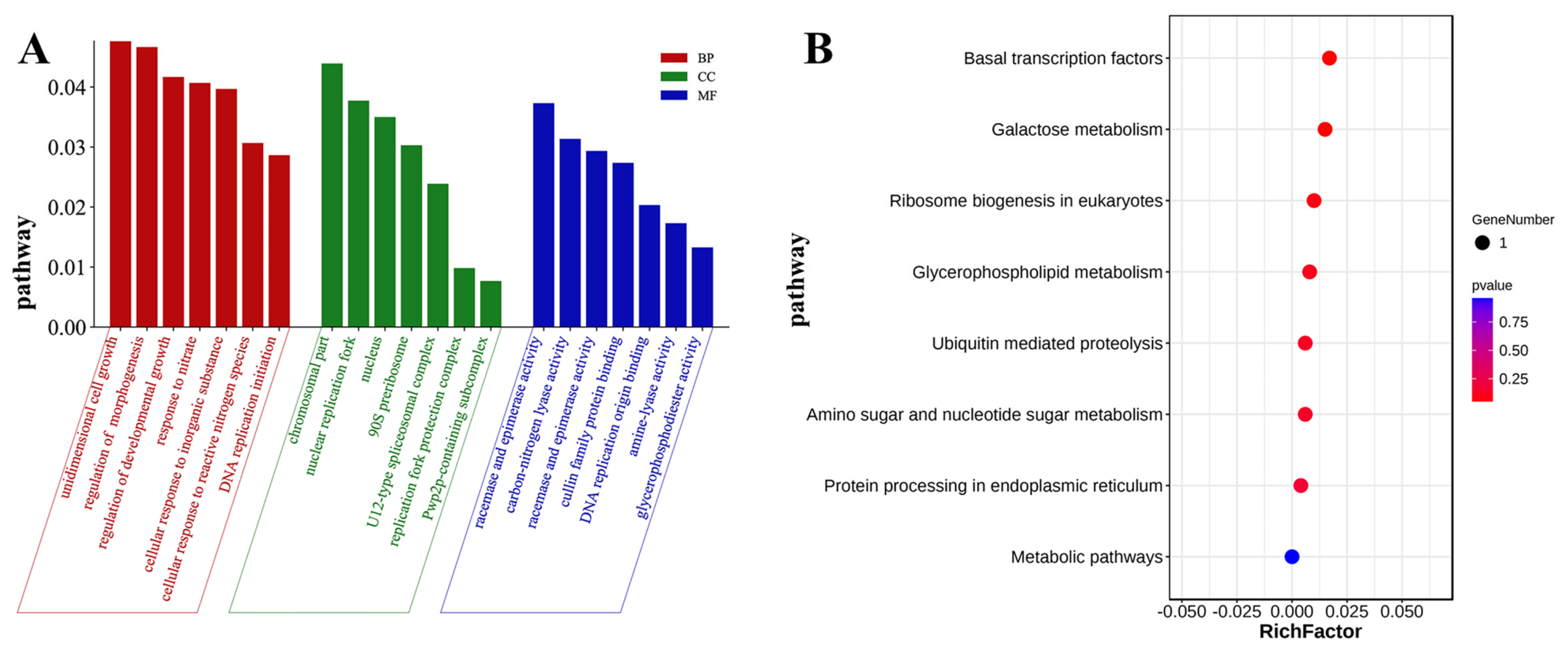 Ijms 24 14838 g003 Ijms 24 14838 g003