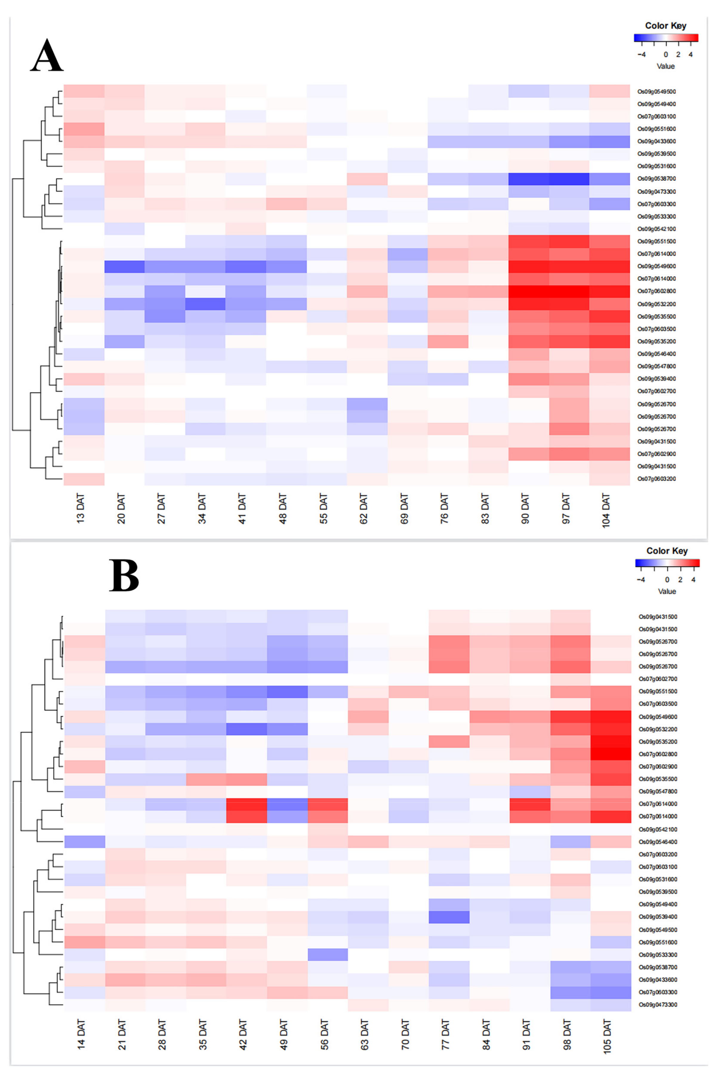 Ijms 24 14838 g004 Ijms 24 14838 g004