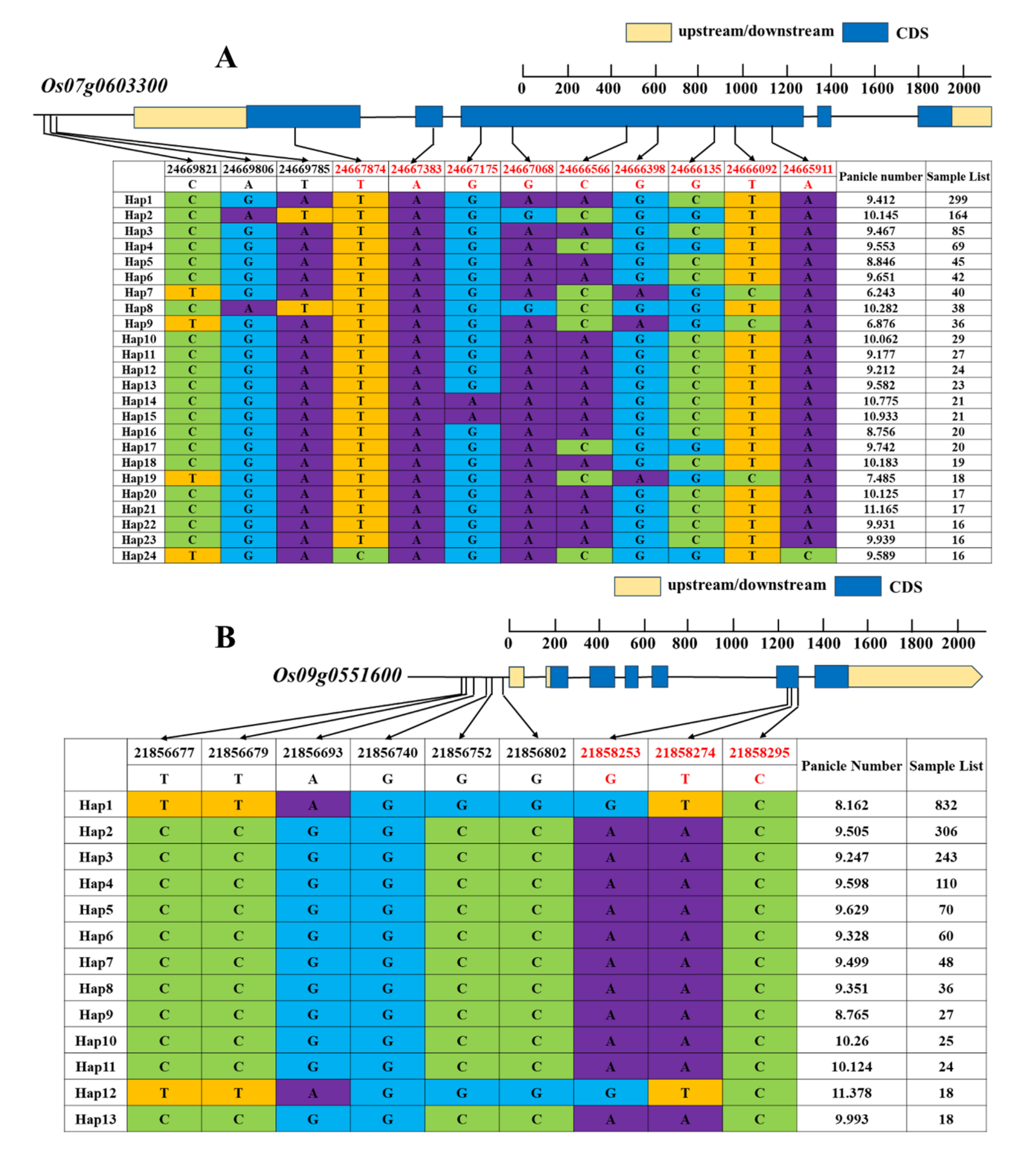 Ijms 24 14838 g005a Ijms 24 14838 g005a