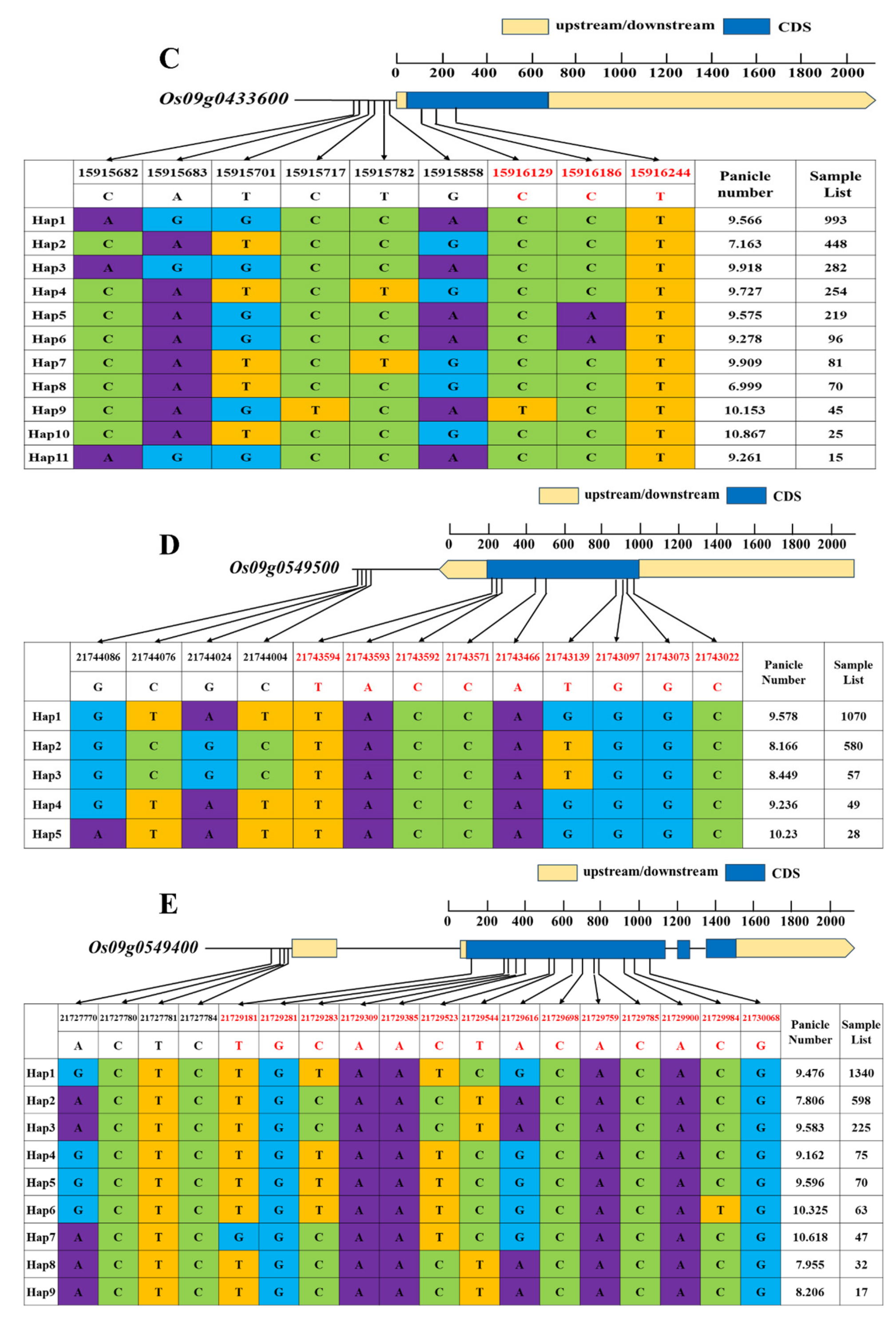 Ijms 24 14838 g005b Ijms 24 14838 g005b